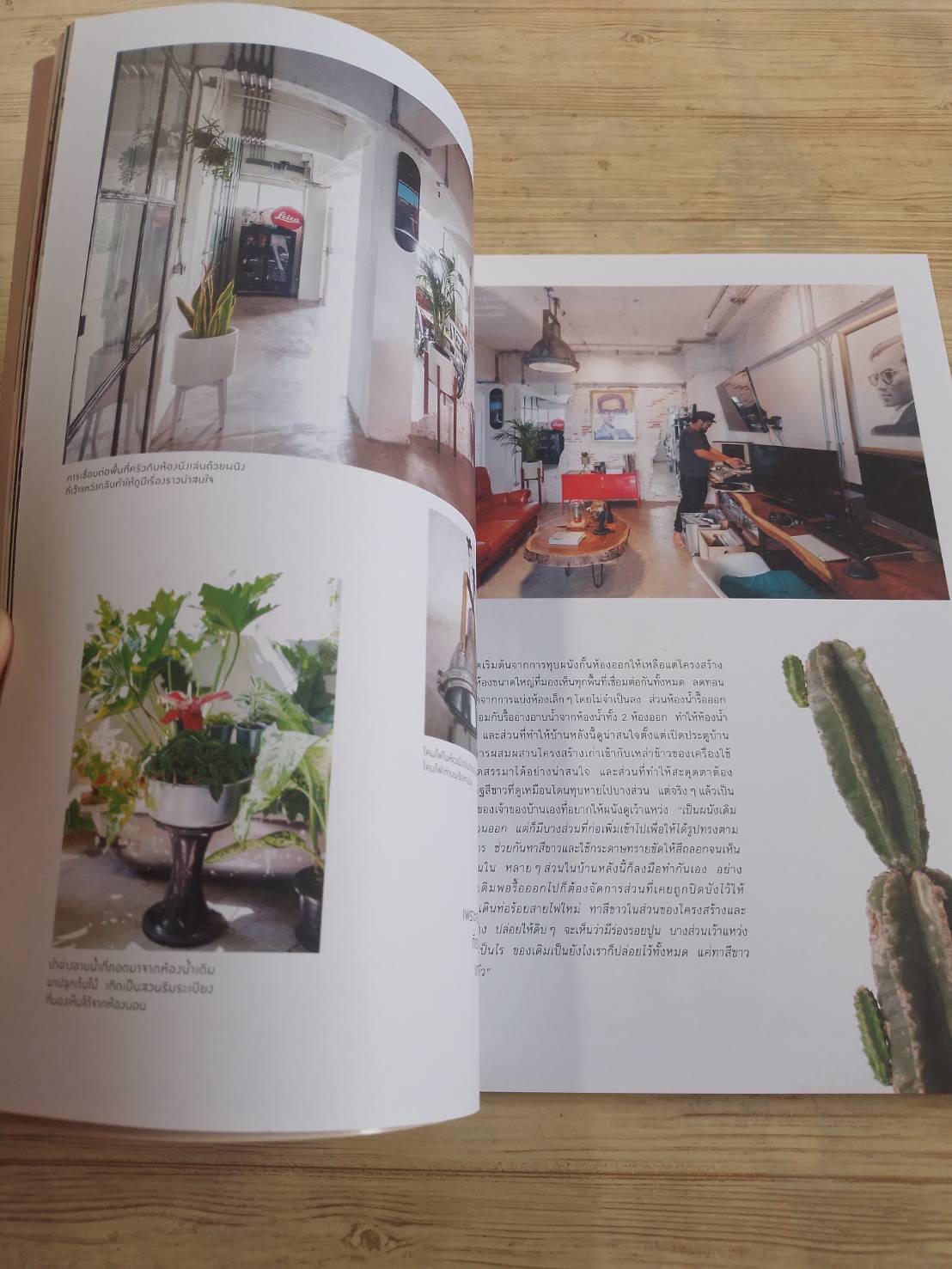 my home ฉบับที่ 99 Oct-Nov 2018 Mini Glasshouse โรงเรือนขนาดเล็กที่ใคร ๆ ก็มีได้