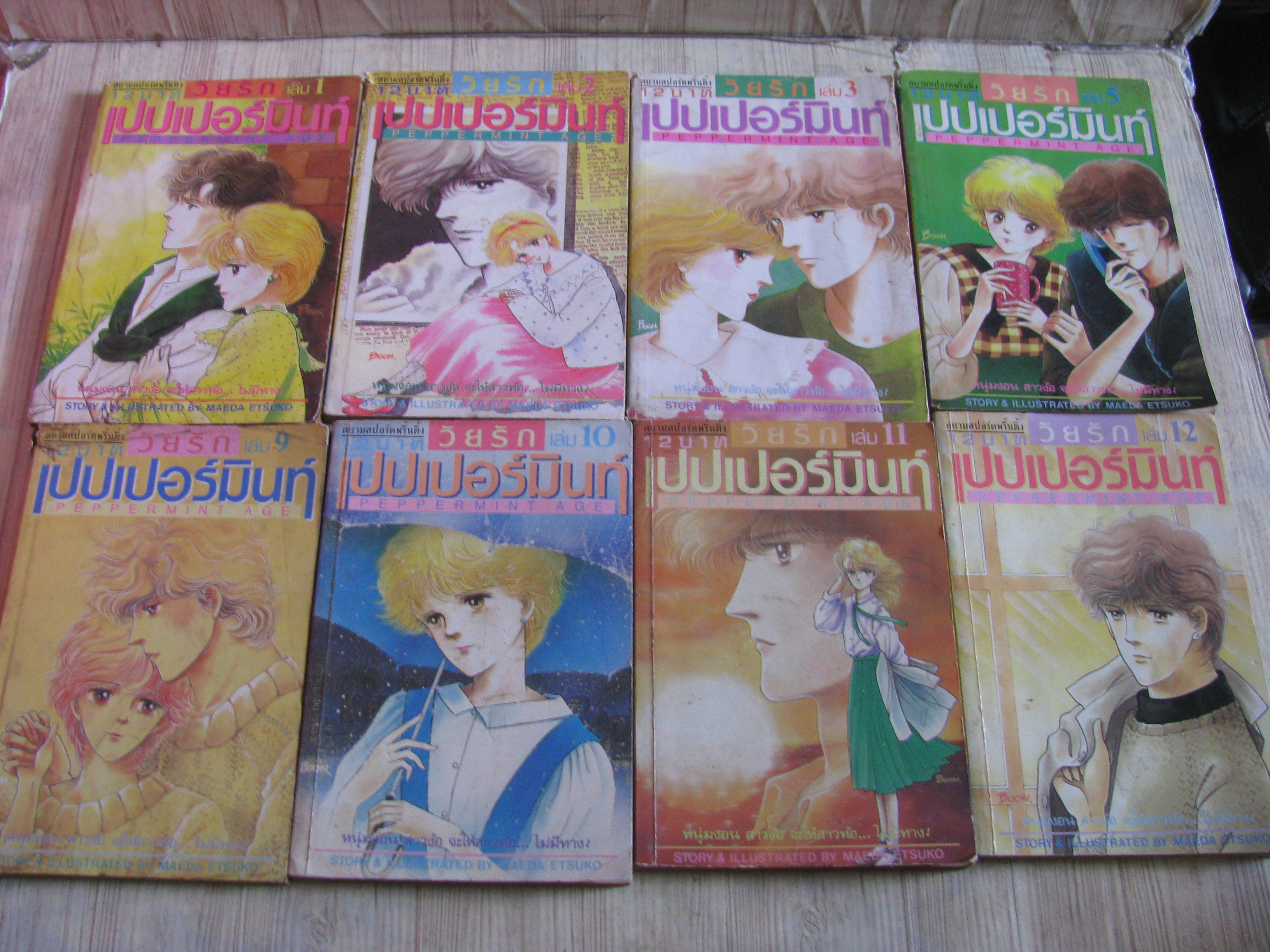 วัยรักเปปเปอร์มินท์ ชุด เล่ม 1,2,3,5,9,10,11,12 (12 เล่มจบ) (ขาดเล่ม 4,6,7,8)