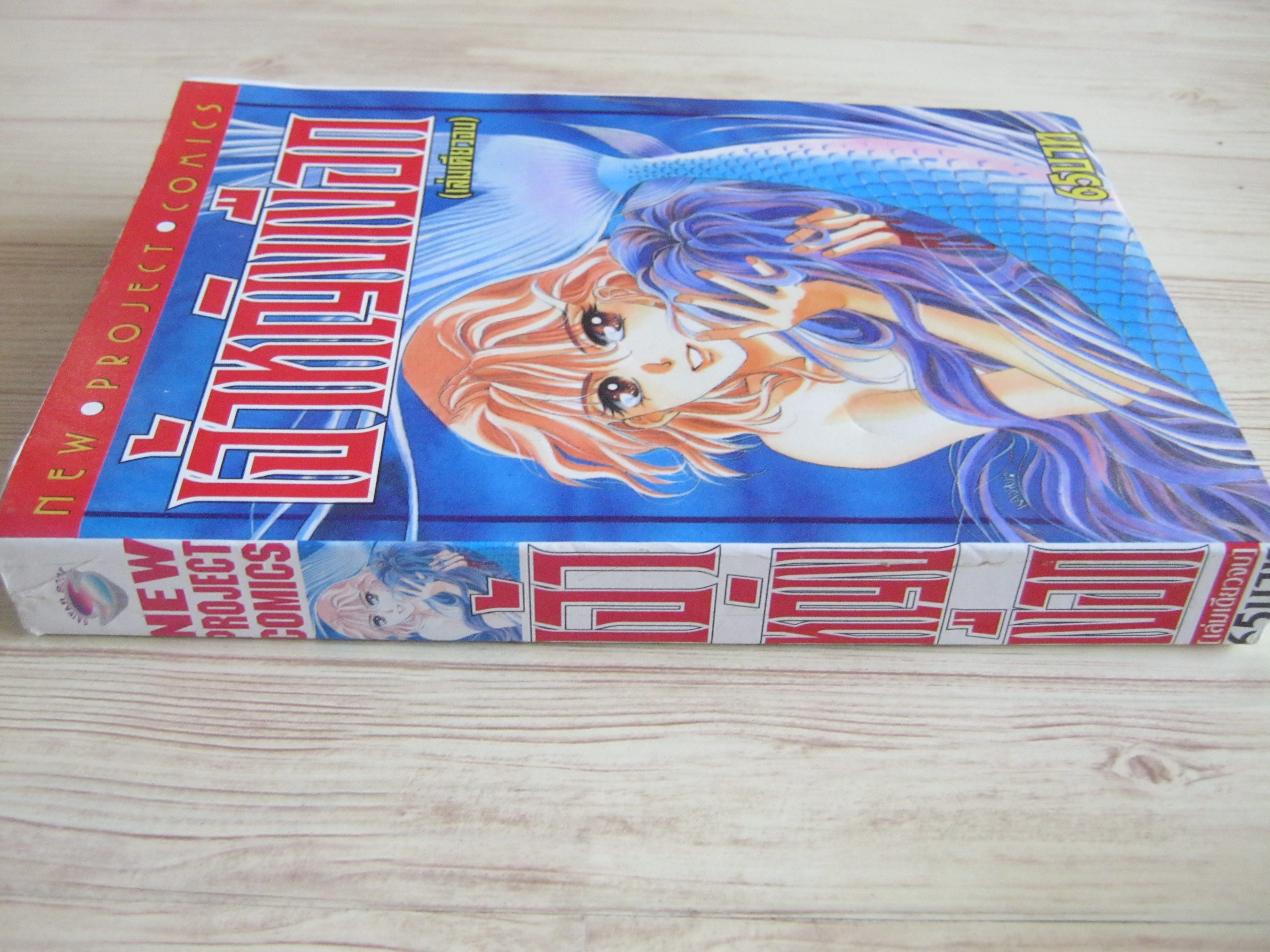 เจ้าหญิงเงือก เล่มเดียวจบ