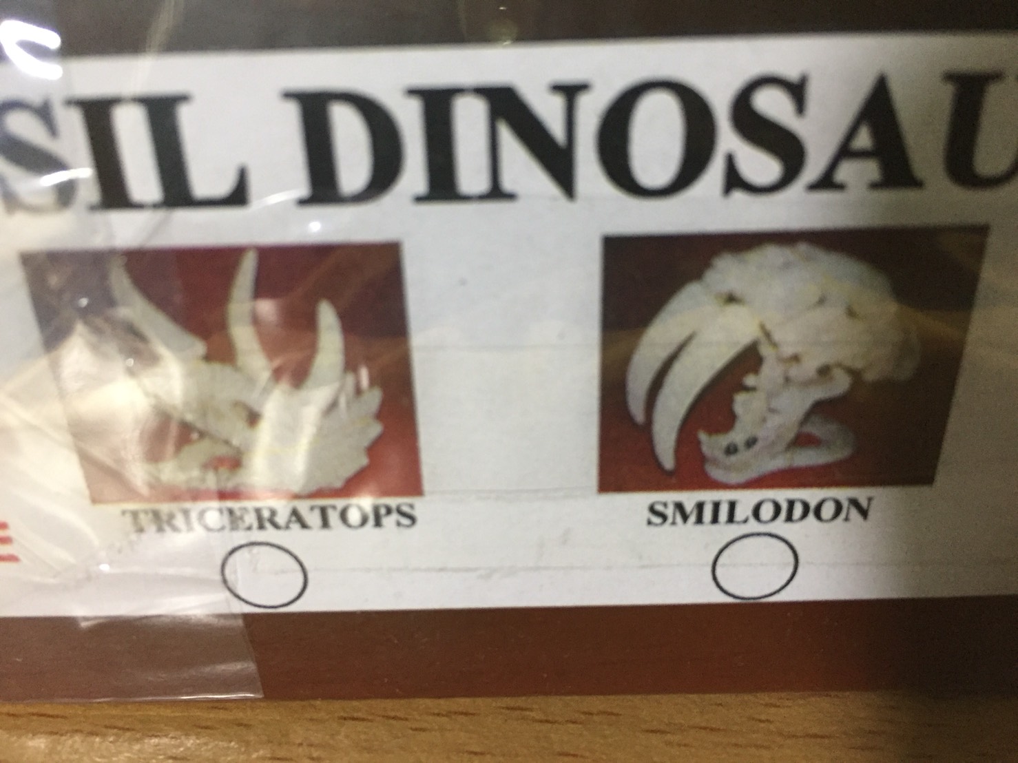 ชุดกระเป๋าขุดฟอสซิลและนำโครงกระดูกมาประกอบ(DinoSaur Adventure)