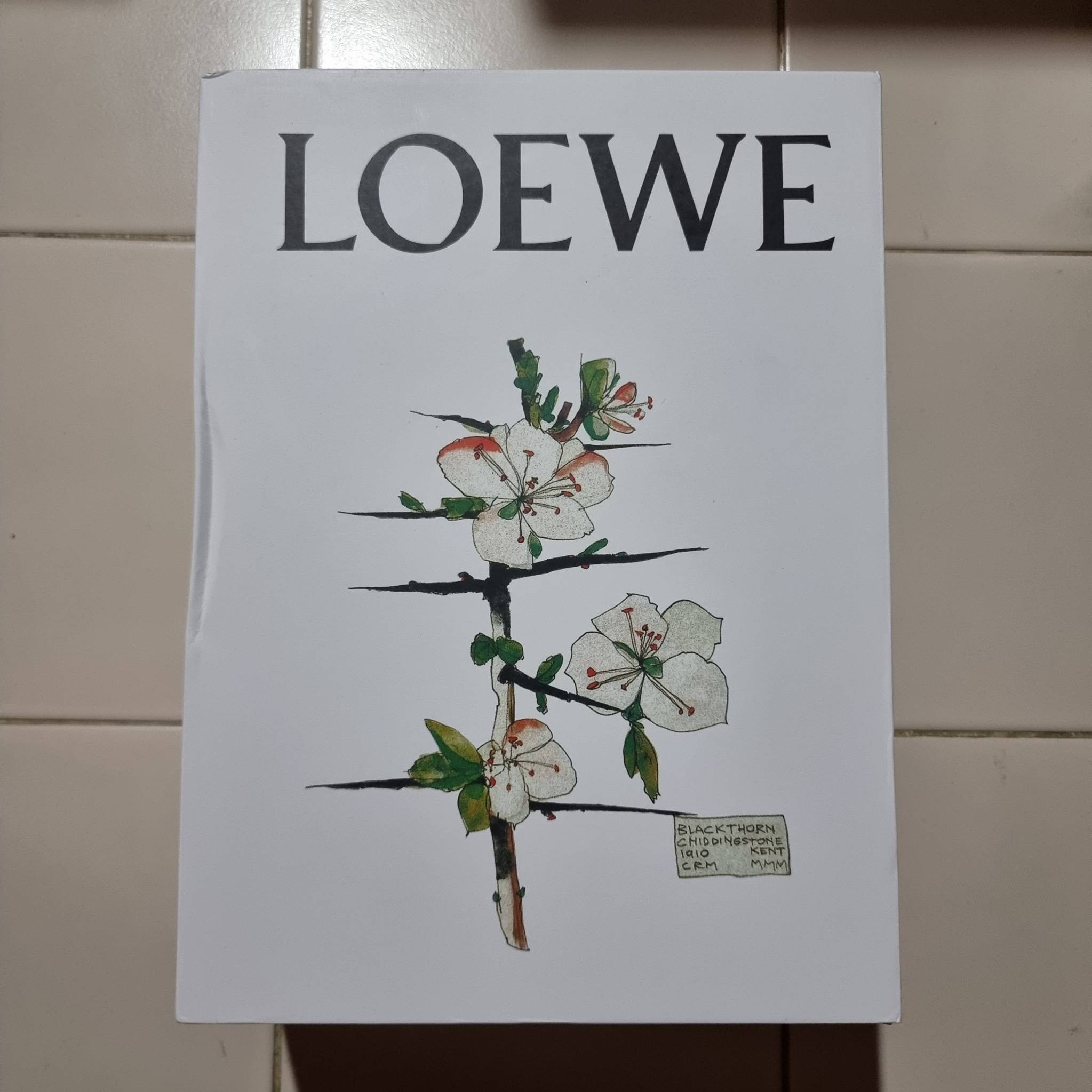 LOEWE SMALL CUBI BAG คอลเลคชั่นยอดฮิต กับสีใหม่ล่าสุด กระเป๋าทรงพอช ใบกำลังสวย ดีไซน์ดีเทลน่ารัก ด้วยลวดลายปักบนผืนผ้าคอตตอน มาพร้อมสายสะพายในตัว ที่ปรับความยาวได้อีกเล็กน้อย คล้องไหล่ คล้องแขนได้แบบสบายๆ เปิด-ปิดด้วยซิป ภายในเป็นช่องโล่ง มีช่องแบ่งอีกช่อ