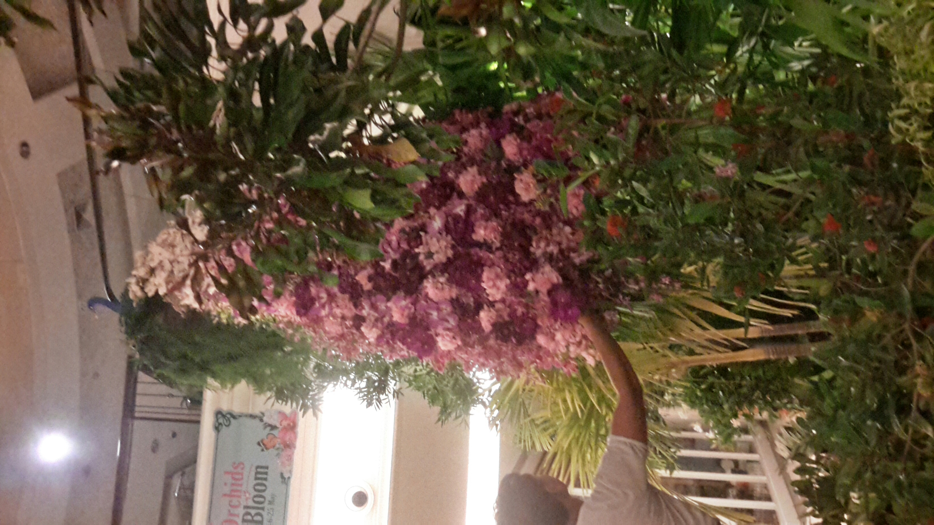 งานมหกรรมกล้วยไม้ที่ The Promenale แฟชั่นไอซ์แลน