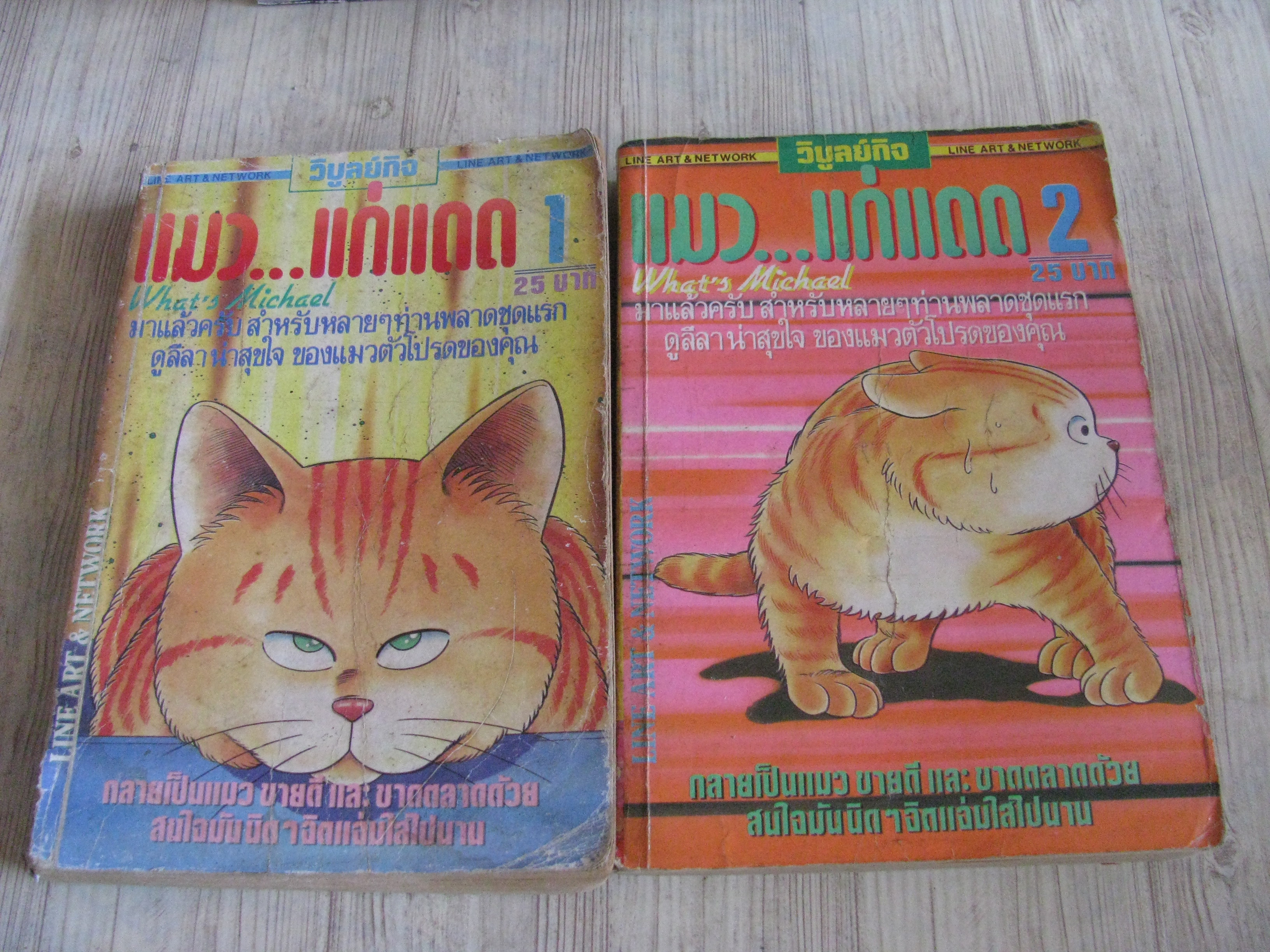 แมวแก่แดด ชุด เล่ม 1,2
