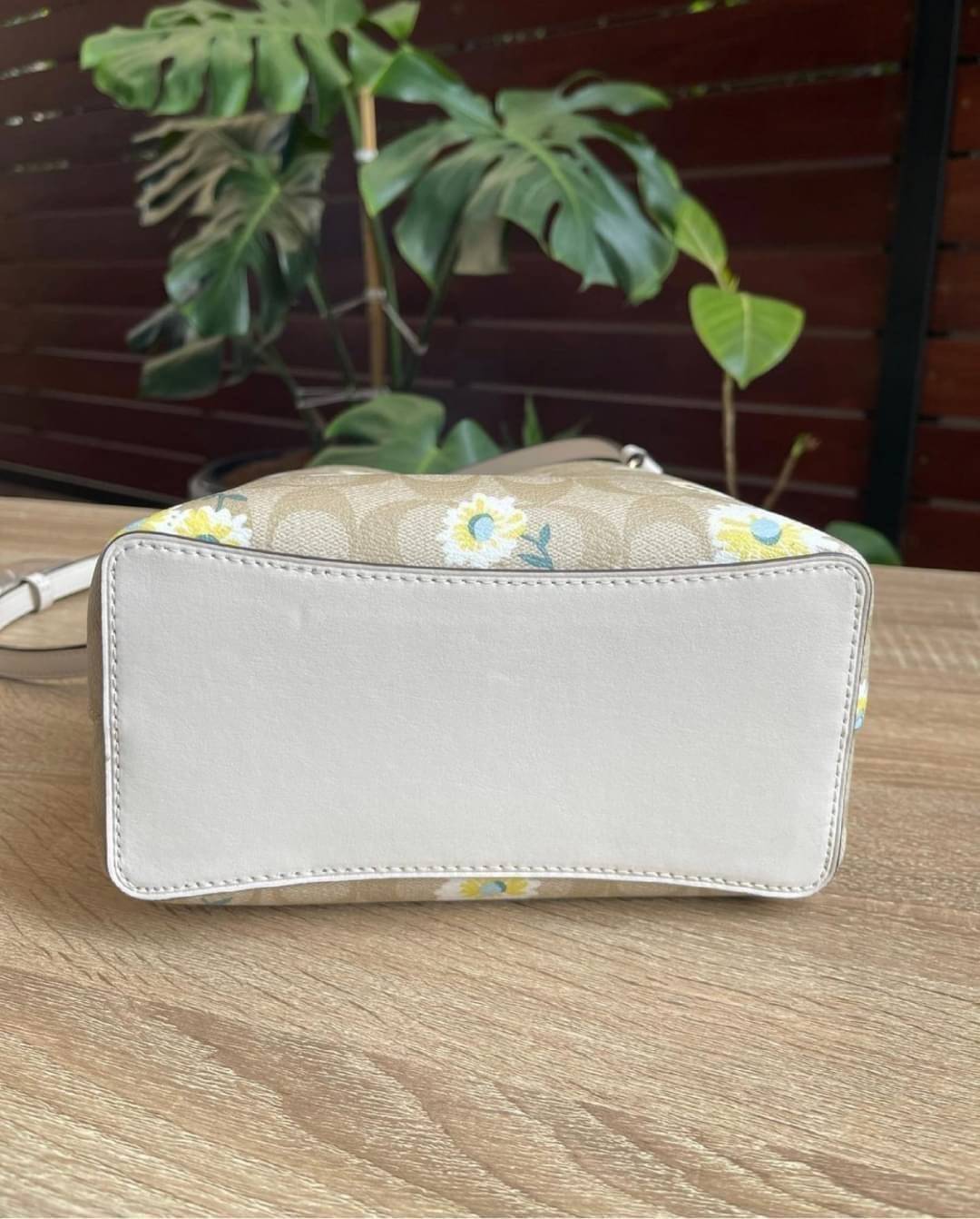 OUTLET 】COACH C3411 SMALL TOWN BUCKET BAG IN SIGNATURE CANVAS WITH DAISY PRINT สวยสดใสมาให้ถึงบ้านจ้า!! กระเป๋าทรงบัคเก็ตยอดฮิต รอบนี้น่ารักมุ้งมิ้งไม่เลิก ดีไซน์ลายดอกเดซี่คละรอบใบ วัสดุหนังแคนวาสเคลือบลาย ปากกระเป๋าเปิด-ปิดด้วยกระดุมแม่เหล็ก 2ฝั่ง มีหูจ