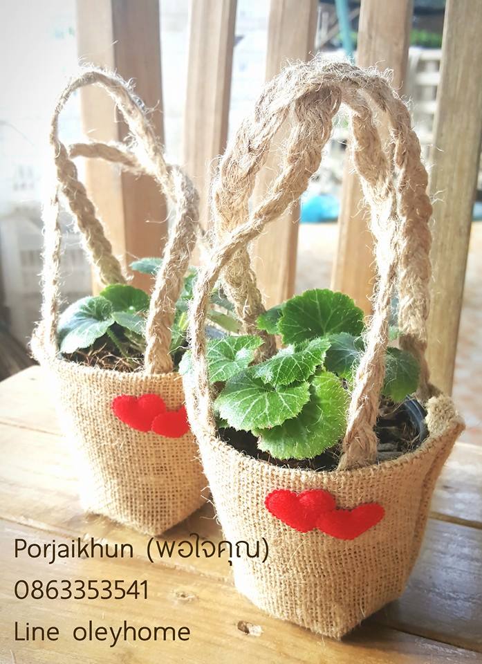 ของชำร่วยต้นไม้ใส่ถุงผ้ากระสอบหูหิ้วเชือกเปียแต่งหัวใจคู่
