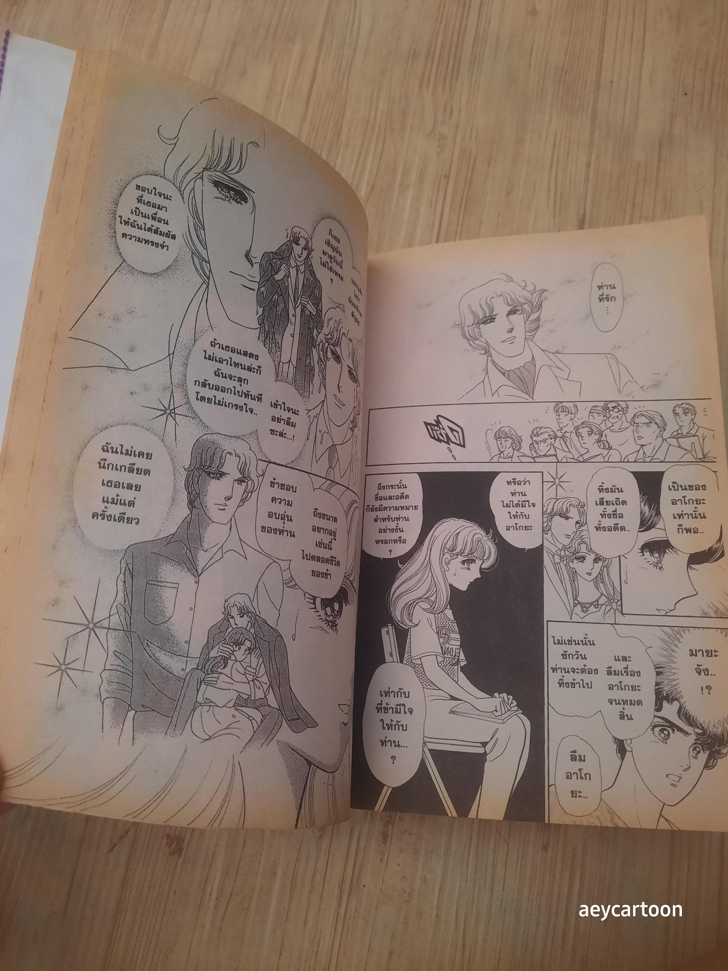 หน้ากากแก้ว ชุด เล่ม 3,4,8,21,30,32,33,40,42 สภาพสะสม