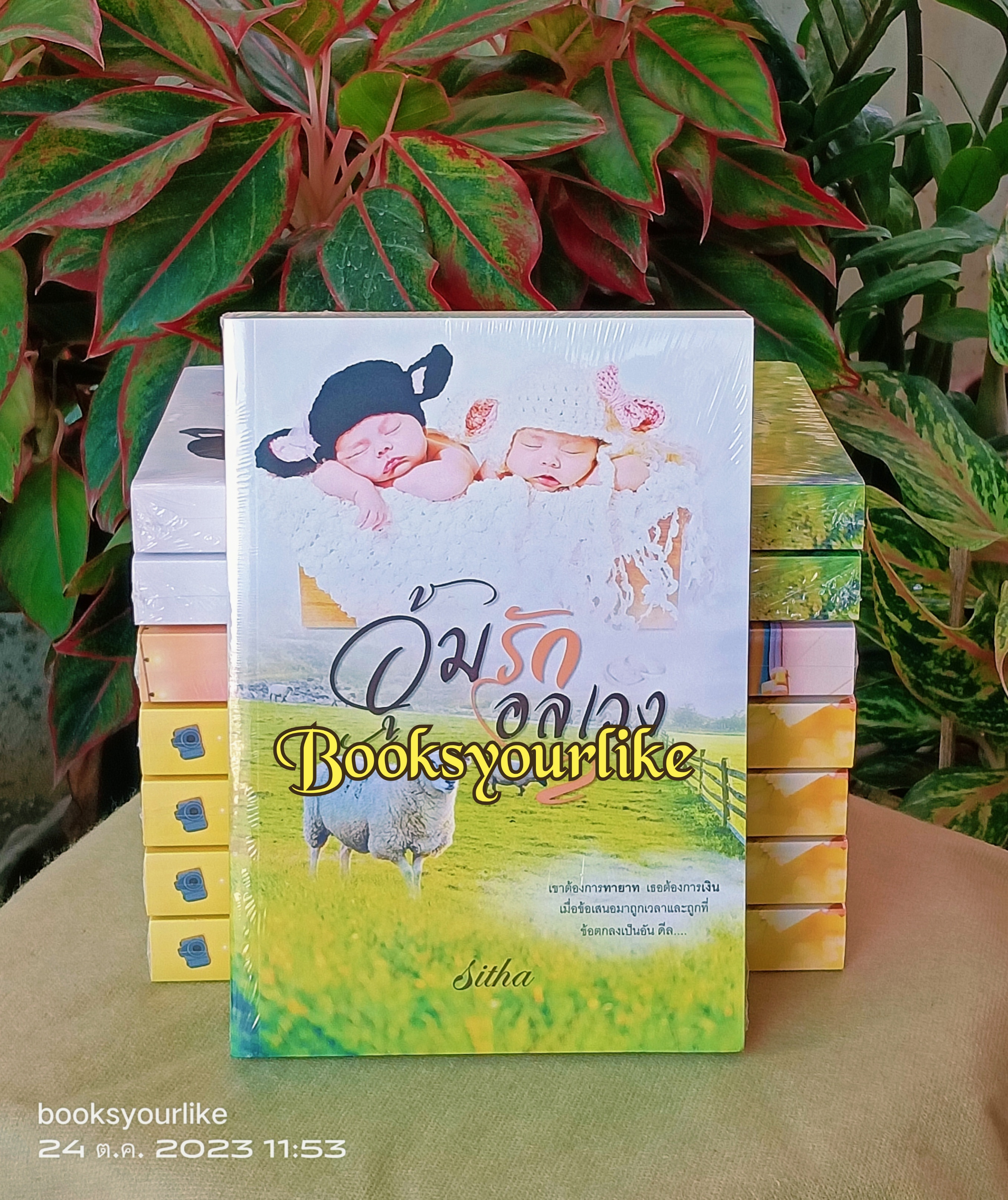 อุ้มรักอลเวง,ผู้แต่ง,Sitha,นิยายรักทำมือโรแมนติกคอมเมดี้,สนุกแนะนำค่ะ