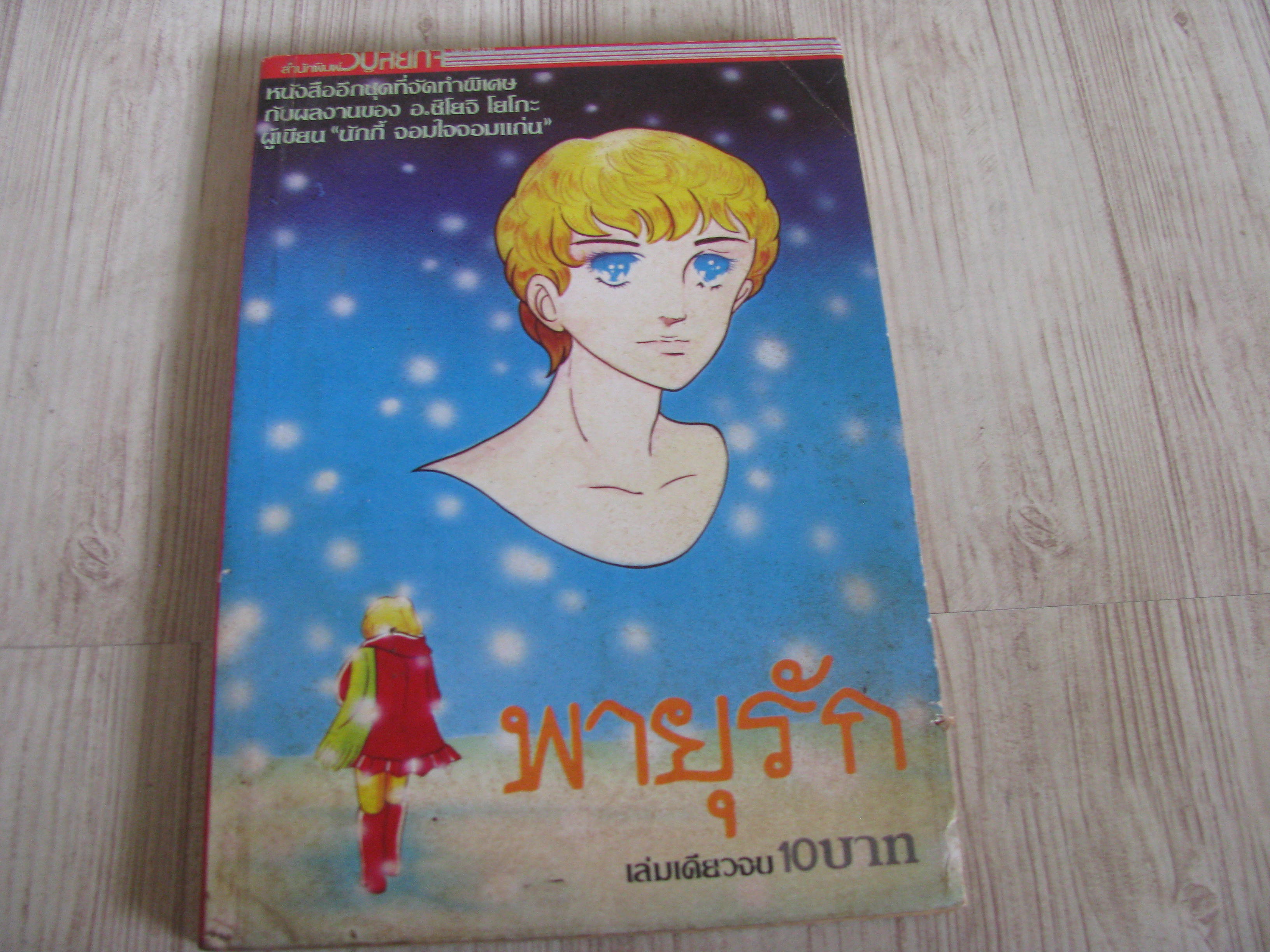 พายุรัก เล่มเดียวจบ