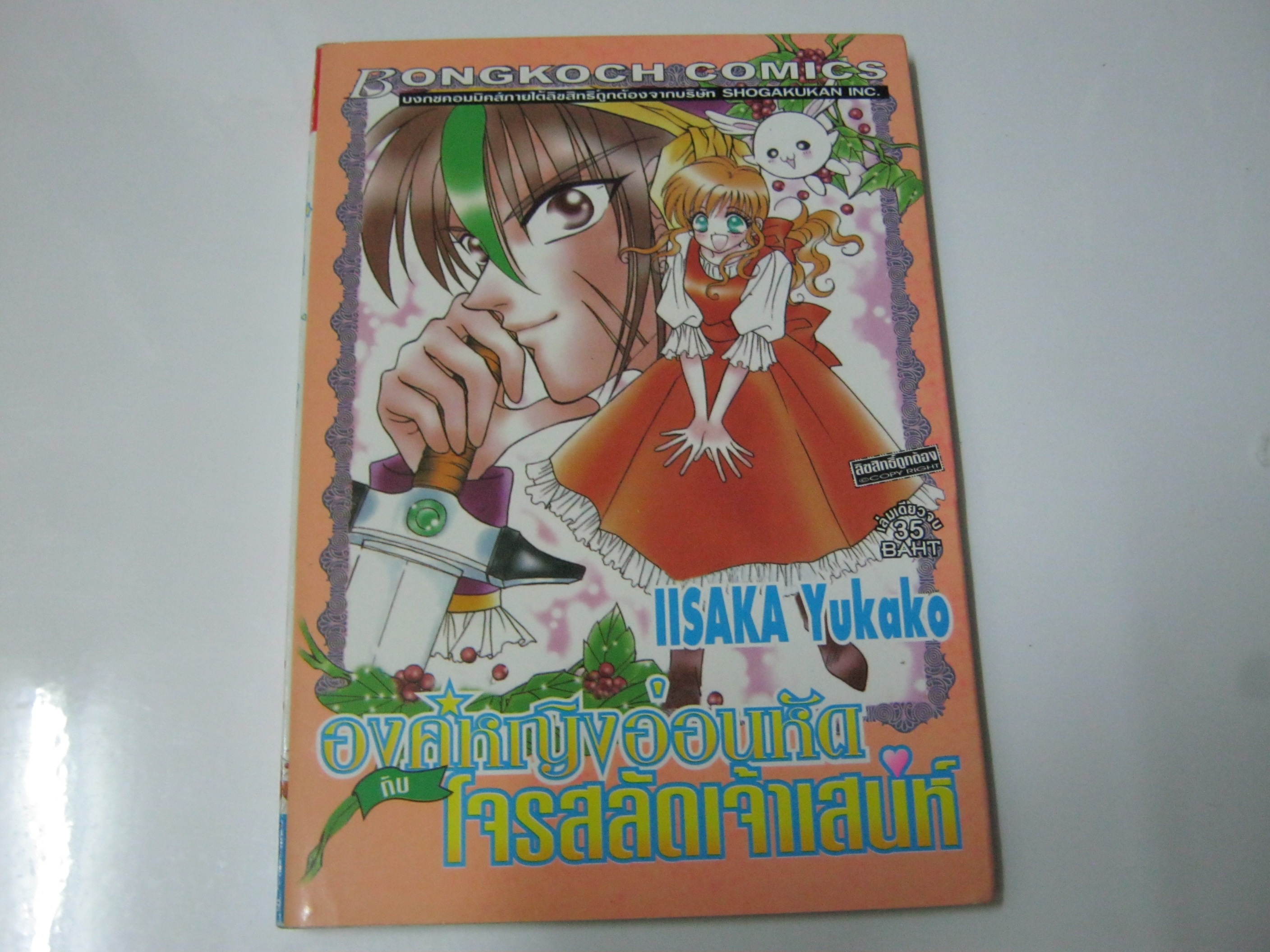 องค์หญิงอ่อนหัดโจรสลัดเจ้าเสน่ห์ เล่มเดียวจบ Lisaka Yukako เขียน