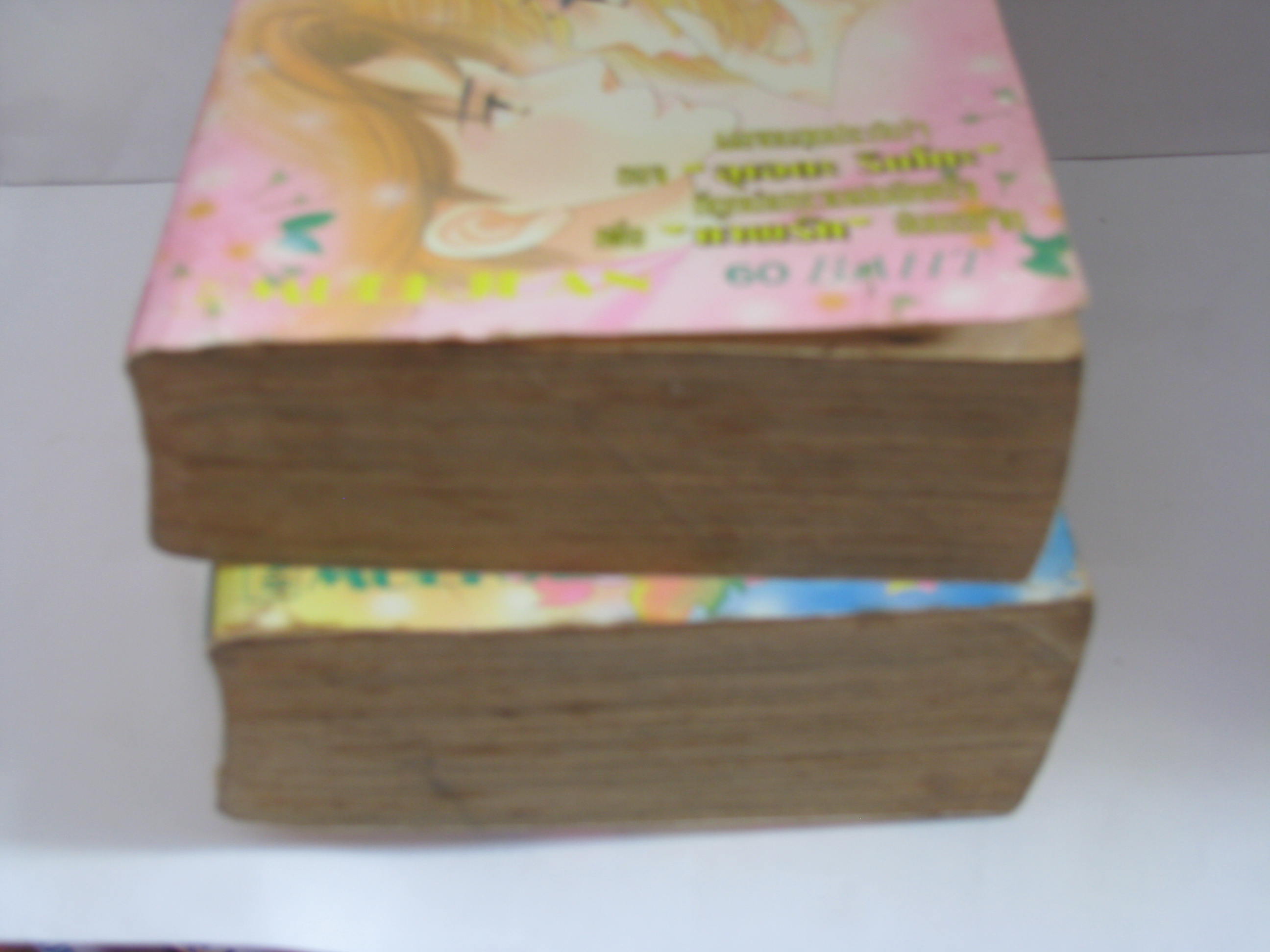 ภาพรักในฝัน ชุด 2 เล่มจบ อุเอดะ รินโกะ เขียน ***สินค้าหมด***