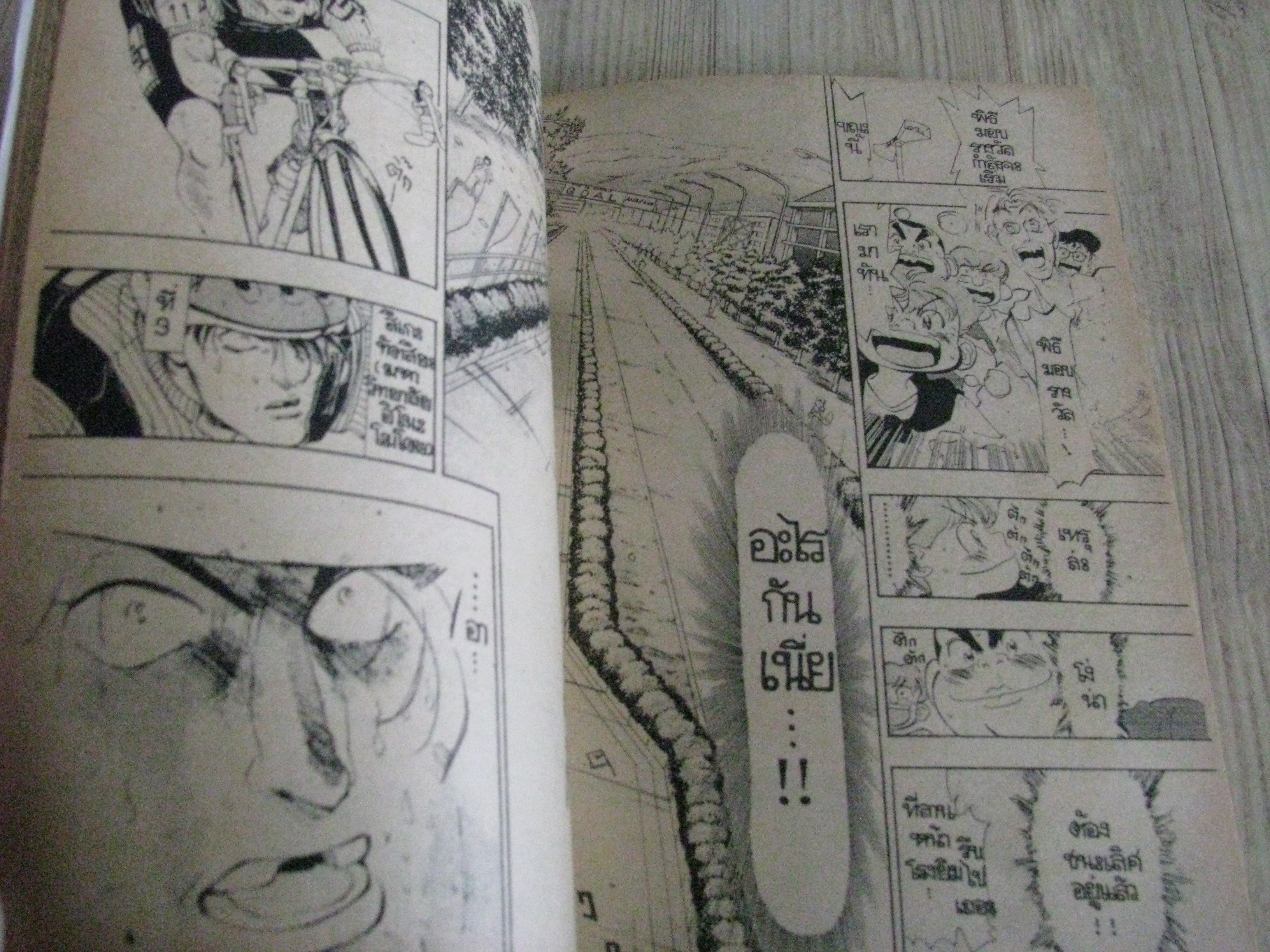 สิงห์นักปั่น ชุด เล่ม 1-18 ( ขาดเล่ม 5) 18 เล่มจบ มาซาฮิโดะ โชดะ เขียน (สภาพสะสม)