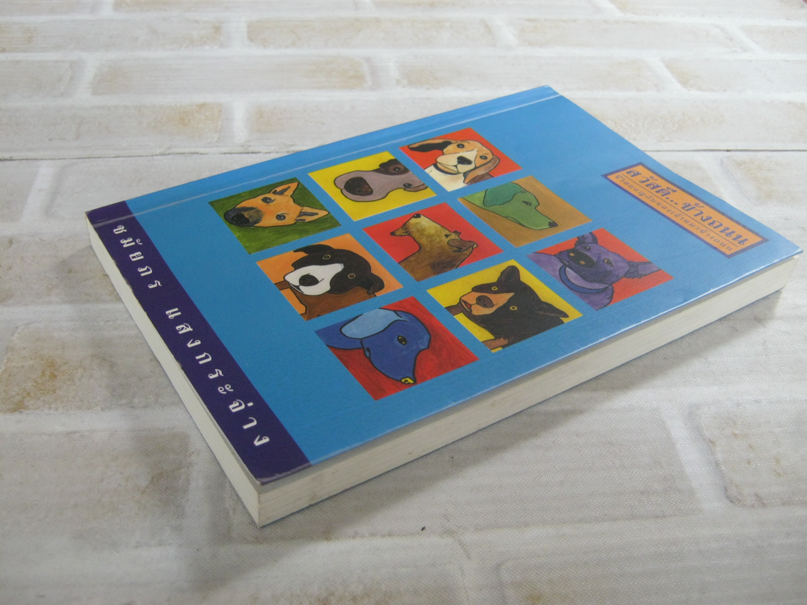 สวัสดี...ข้างถนน ชีวิตผจญภัยของเจ้าหมาข้างถนน ชมัยภร แสงกระจ่าง เขียน***สินค้าหมด***