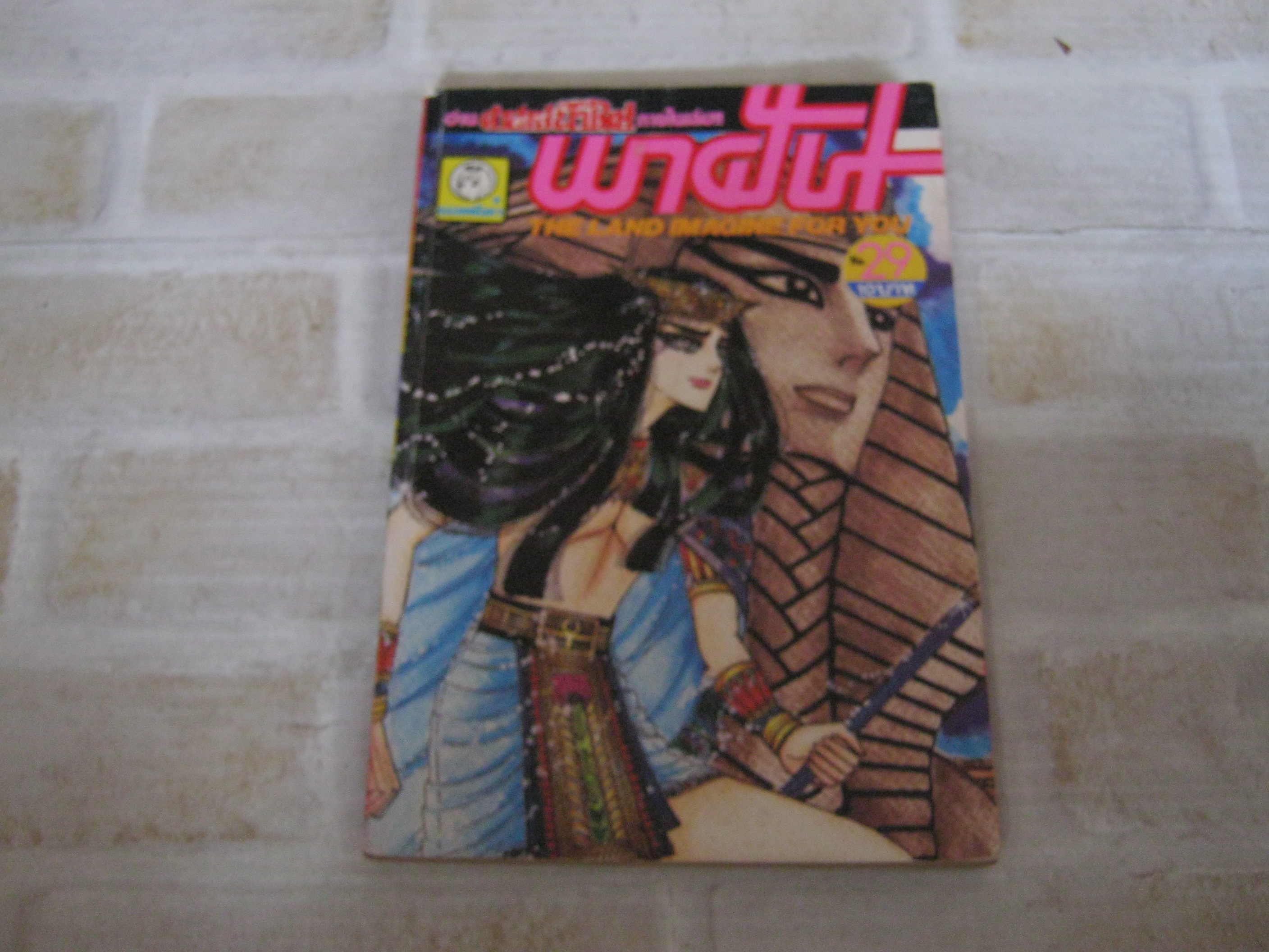พาฝัน เล่ม 29