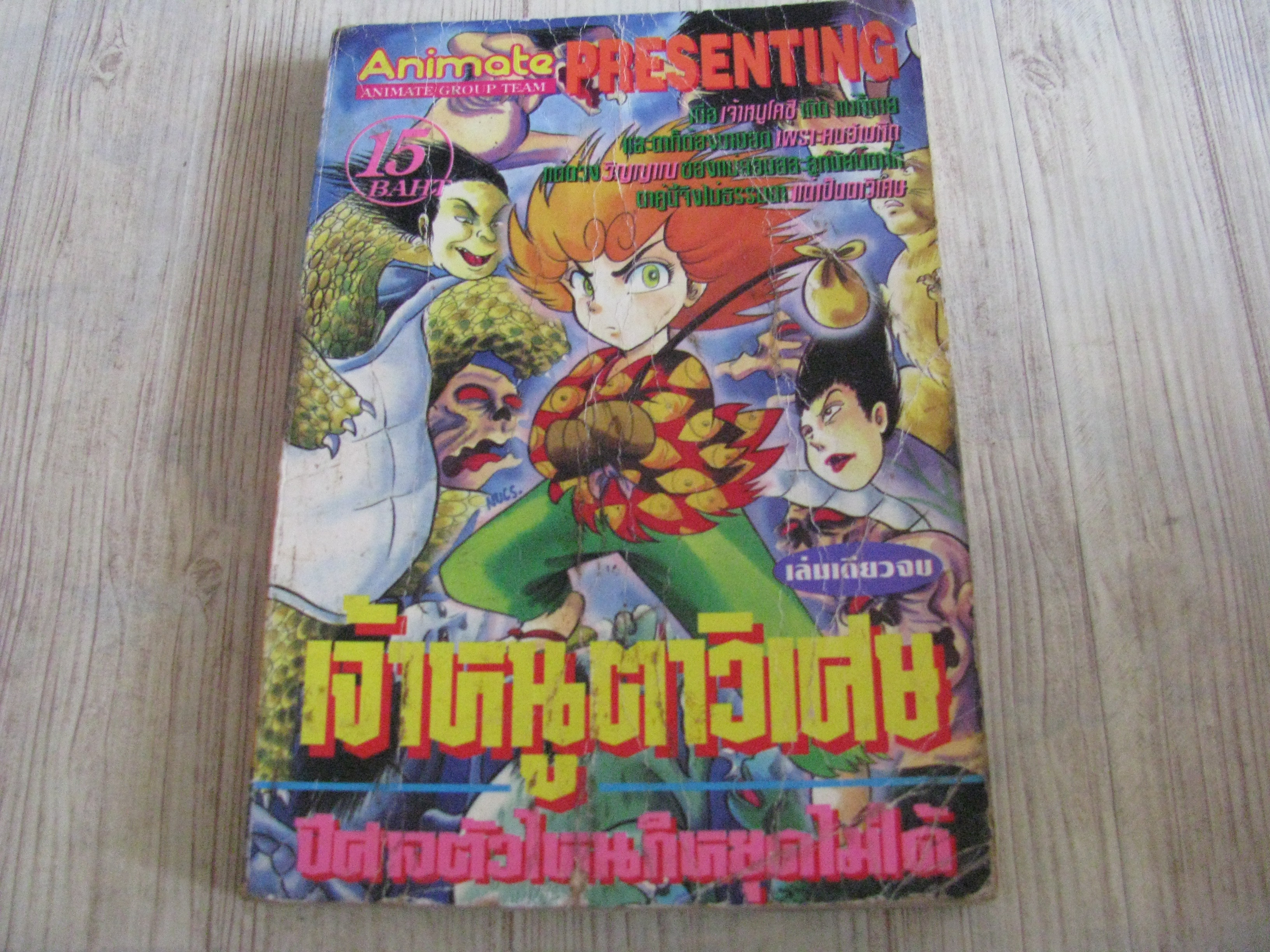 เจ้าหนูตาวิเศษ เล่มเดียวจบ***สินค้าหมด***