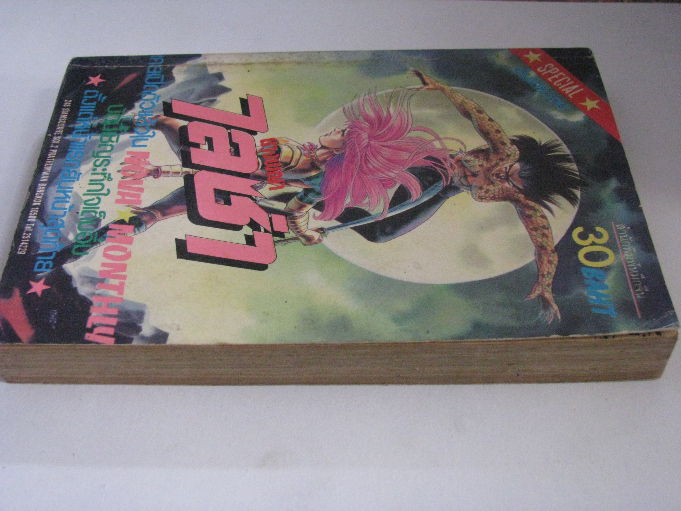 นางพญาไลซ่า เล่มเดียวจบ ***สินค้าหมด***