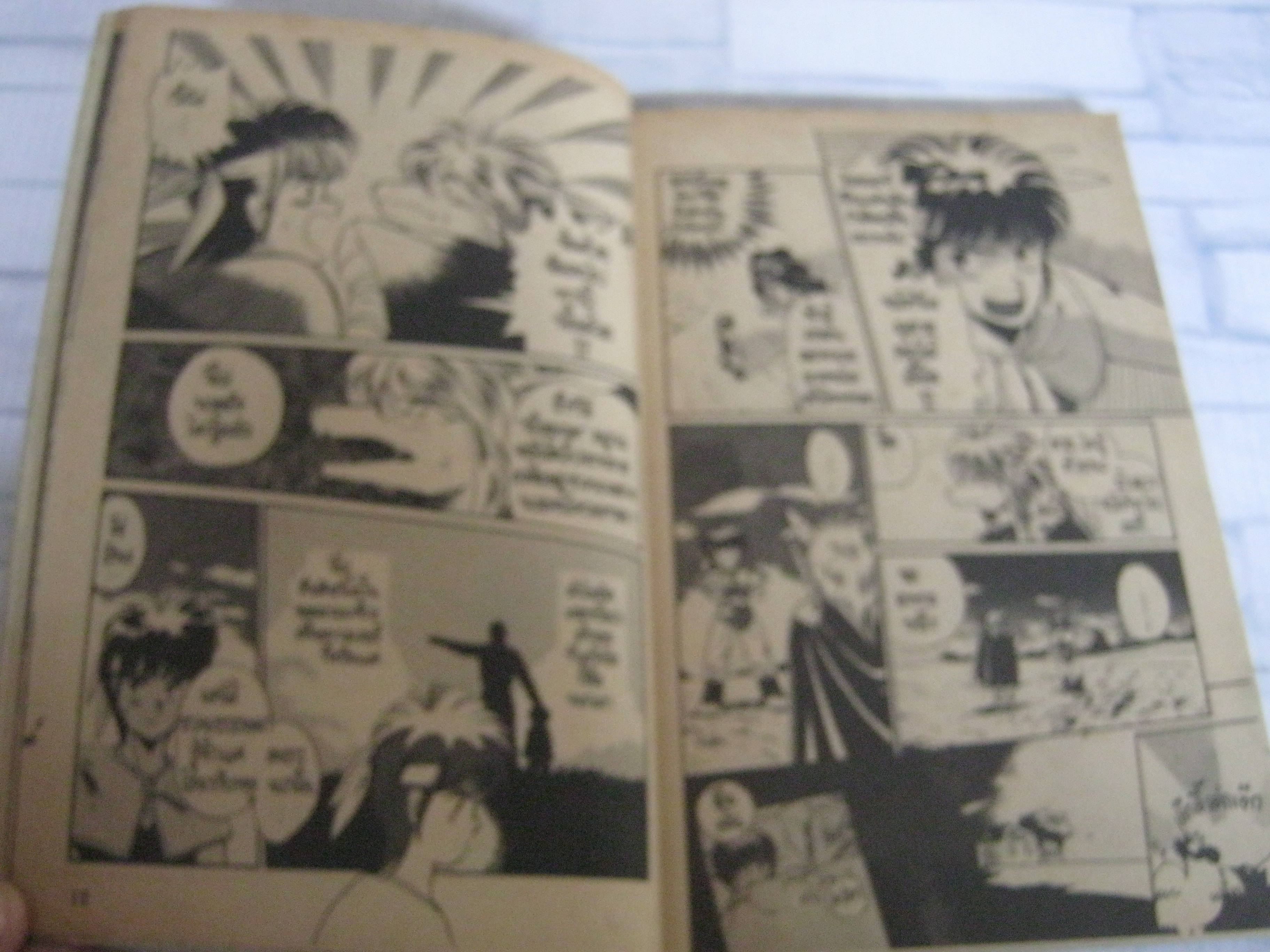 SORCERIAN ผ่าเวทย์พิชิตมนต์ เล่มเดียวจบ