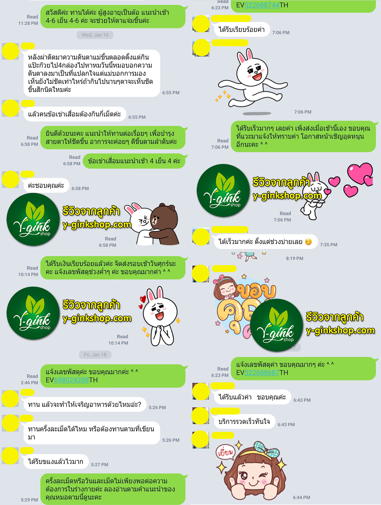 แปะก๊วยวายกิง, แปะก๊วยหมอชำนาญ, แปะก๊วยสกัด, แปะก๊วย, วายกิง, วาย-กิง, หมอชำนาญ, เกรียงศักดิ์, Y-Gink, YGink