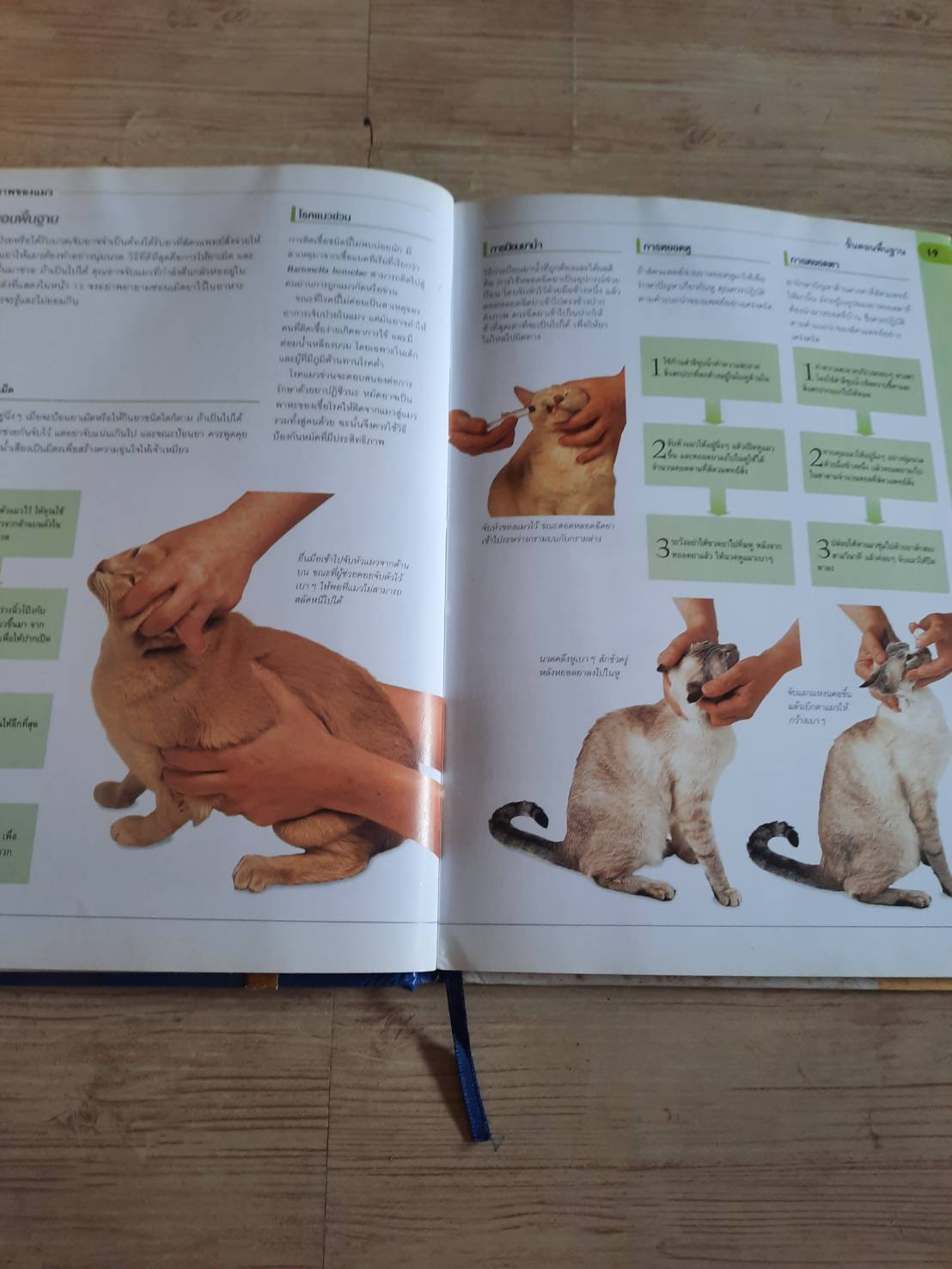 แมวของฉันเป็นอะไร ? (What's Up with my Cat ? น.สพ. บรูซ โฟเกิล เขียน สิทธิพร ชื่นชุ่มจิตร์ แปล***สินค้าหมด***