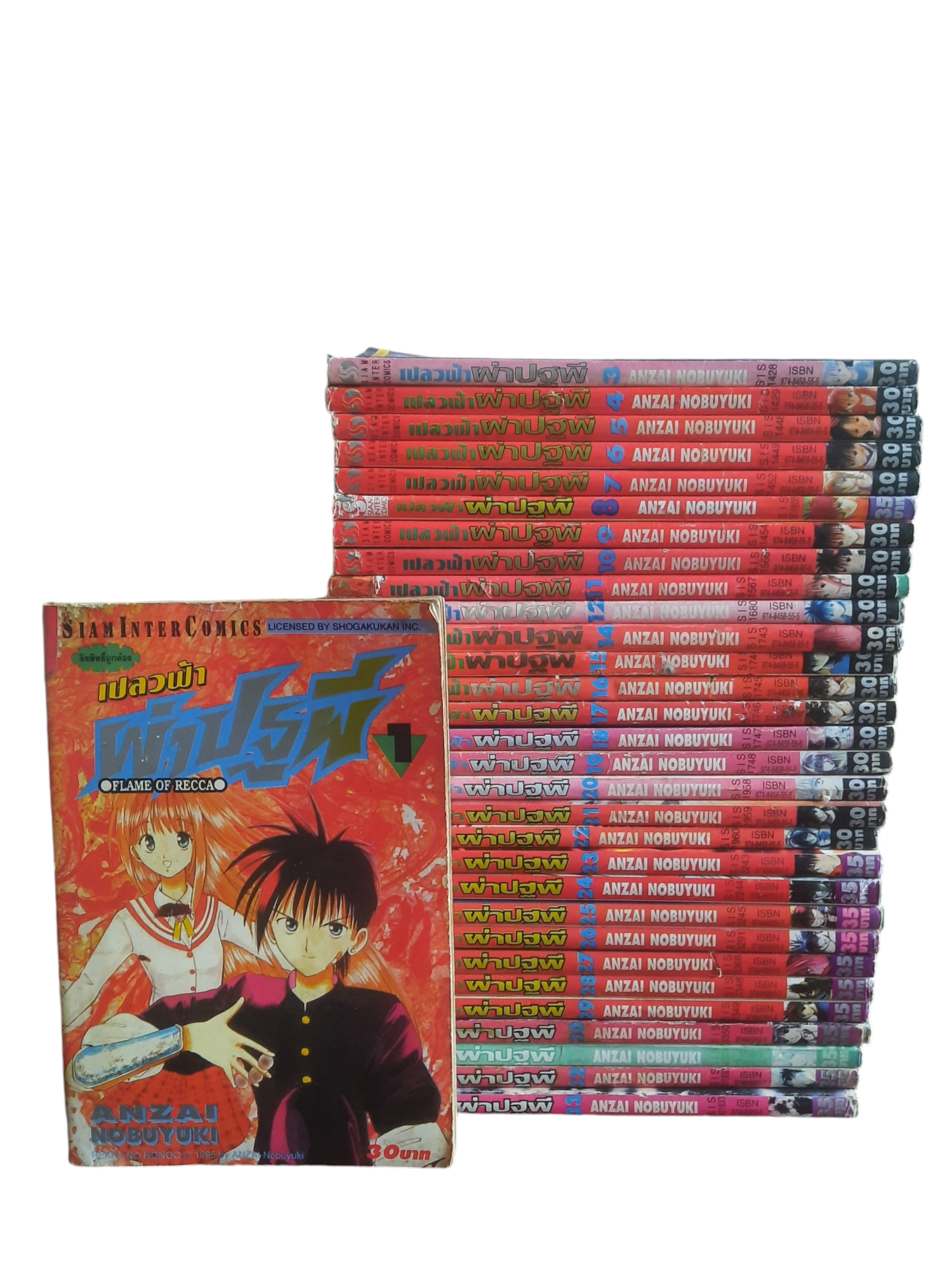 เปลวฟ้าผ่าปฐพี ชุด เล่ม 1-33 (ขาดเล่ม 2,13 ) 33 เล่มจบ