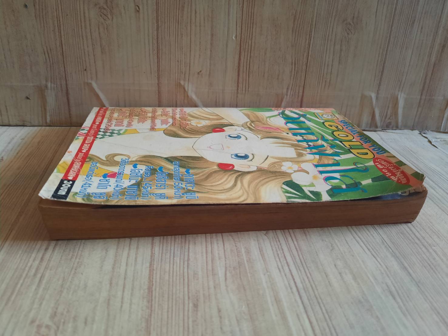 วันที่ฟ้าใส เล่มเดียวจบ