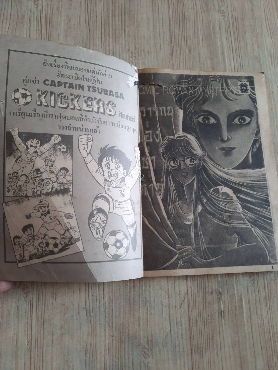 ปรารถนาของซาตาน เล่มเดียวจบ