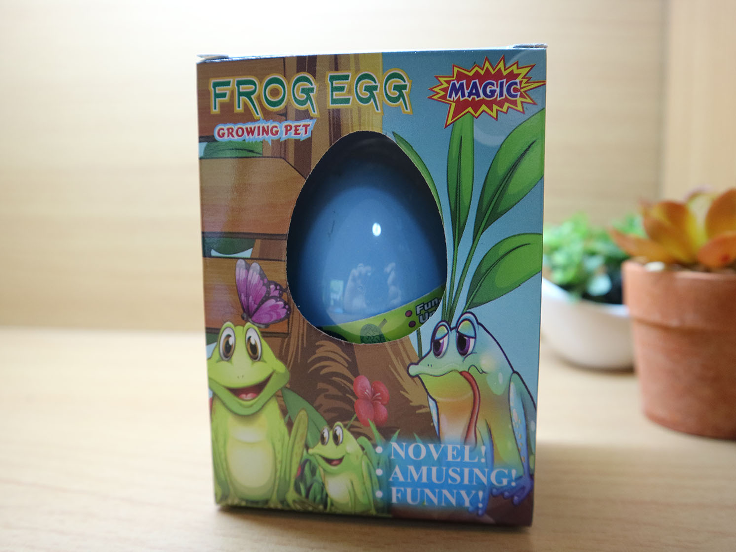 ไข่กบแช่น้ำ