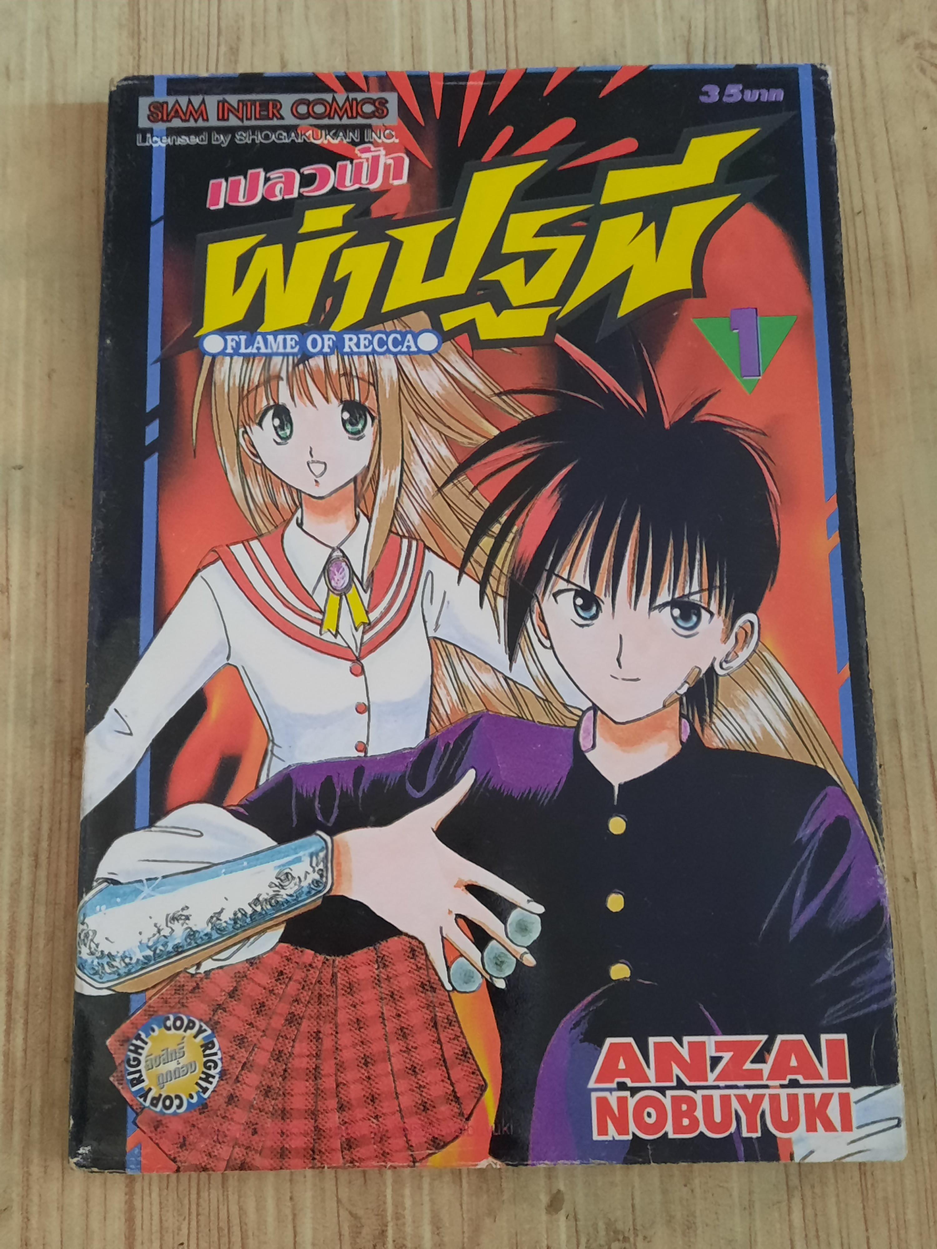 เปลวฟ้าผ่าปฐพี ชุด เล่ม 1-33 (ขาดเล่ม 2,31) 33 เล่มจบ สภาพสะสม