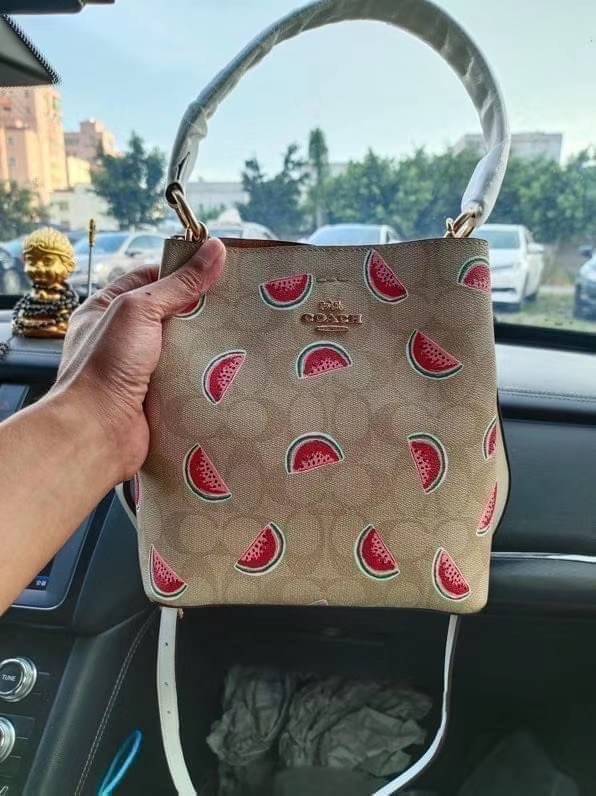 OUTTLET 】COACH SMALL TOWN BUCKET BAG IN SIGNATURE CANVAS WITH WATERMELON PRINT