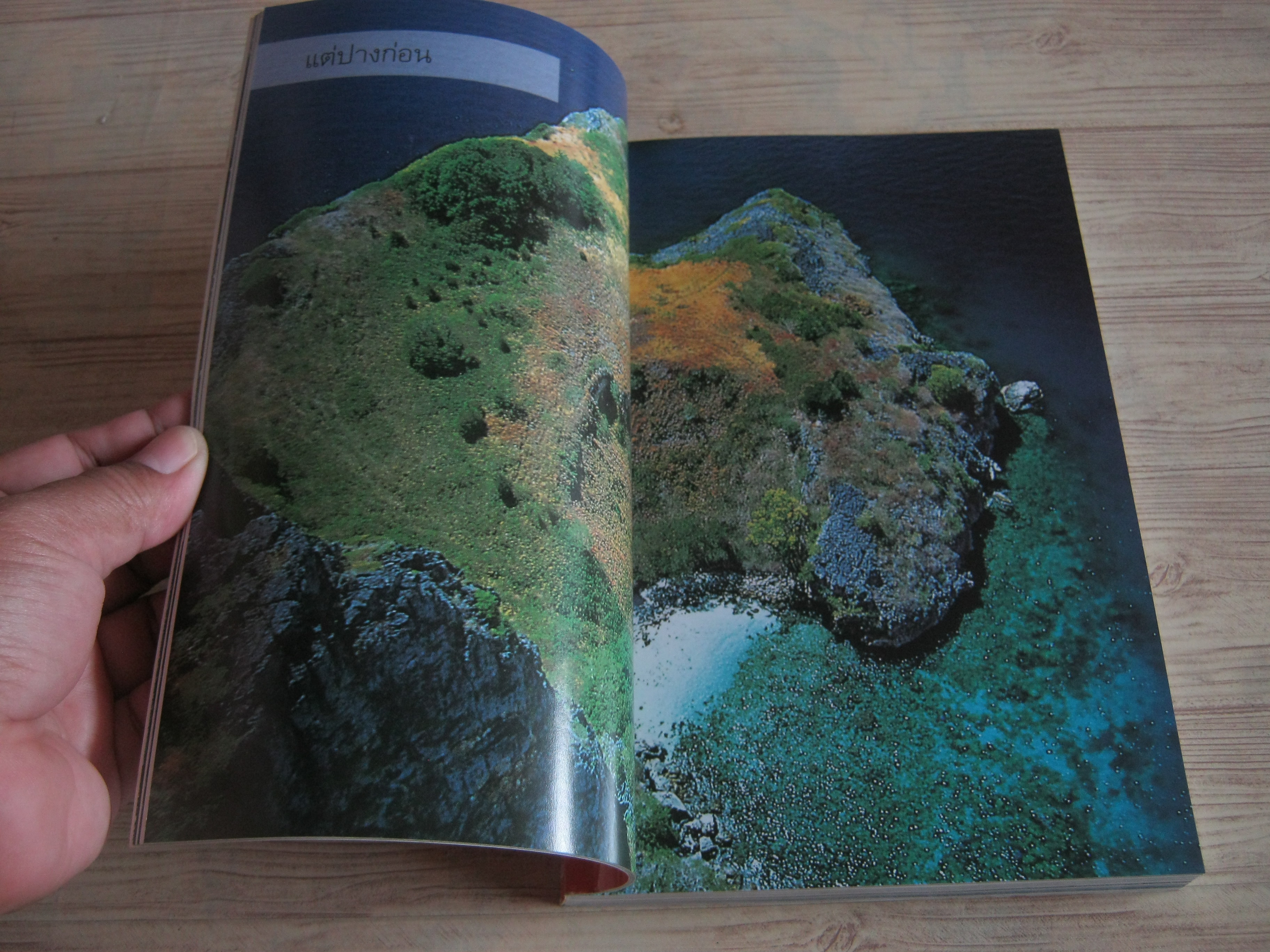 คู่มืออันดามัน ปะการัง พังงา สึนามิ โดย ธรณ์ ธำรงนาวาสวัสดิ์และศักดิ์อนันต์ ปลาทอง