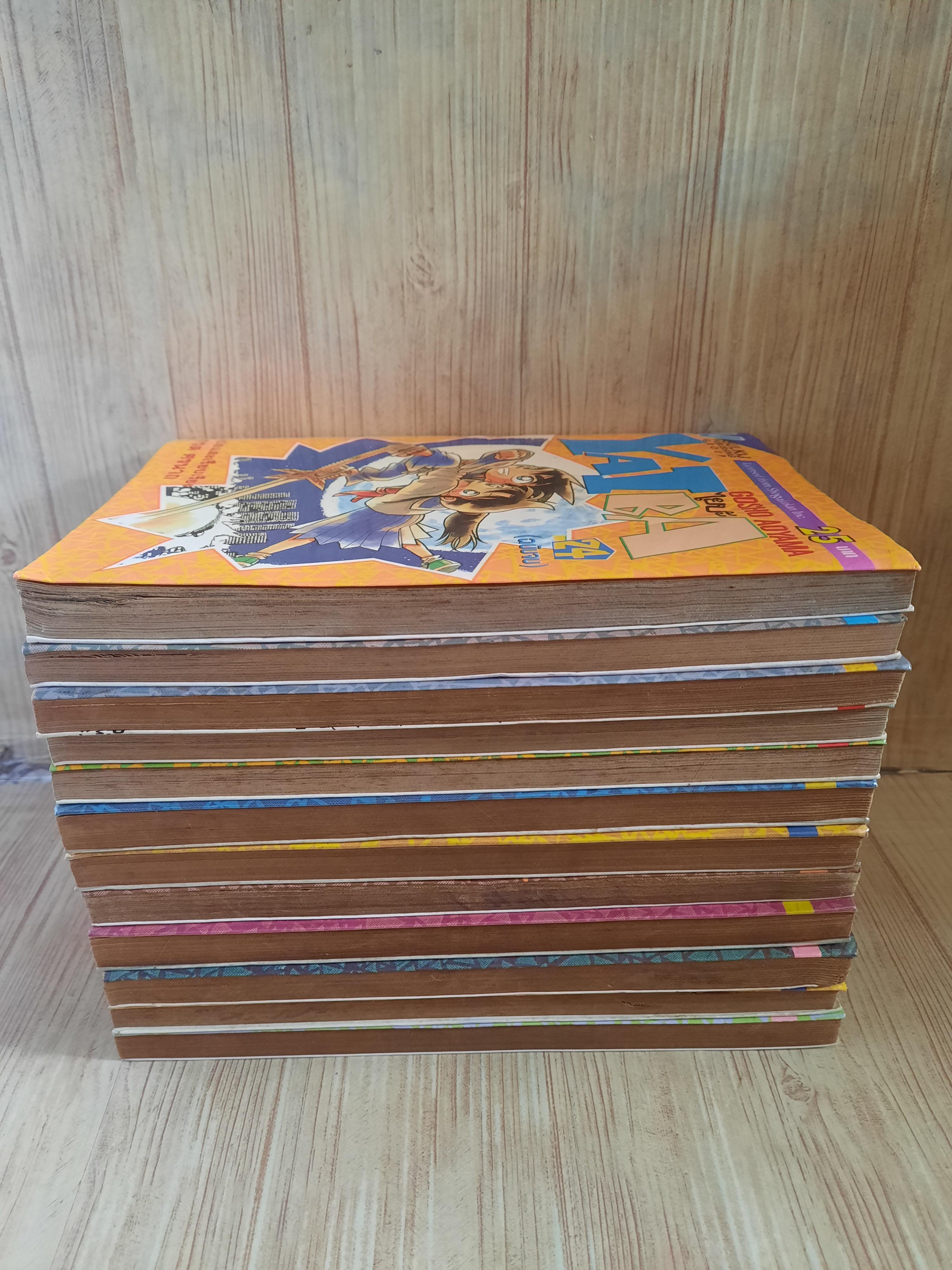 ไยบะ ชุด เล่ม 1,3,5,9,10,13,14,16,20,21,22,24 (24 เล่มจบ) สภาพสะสม