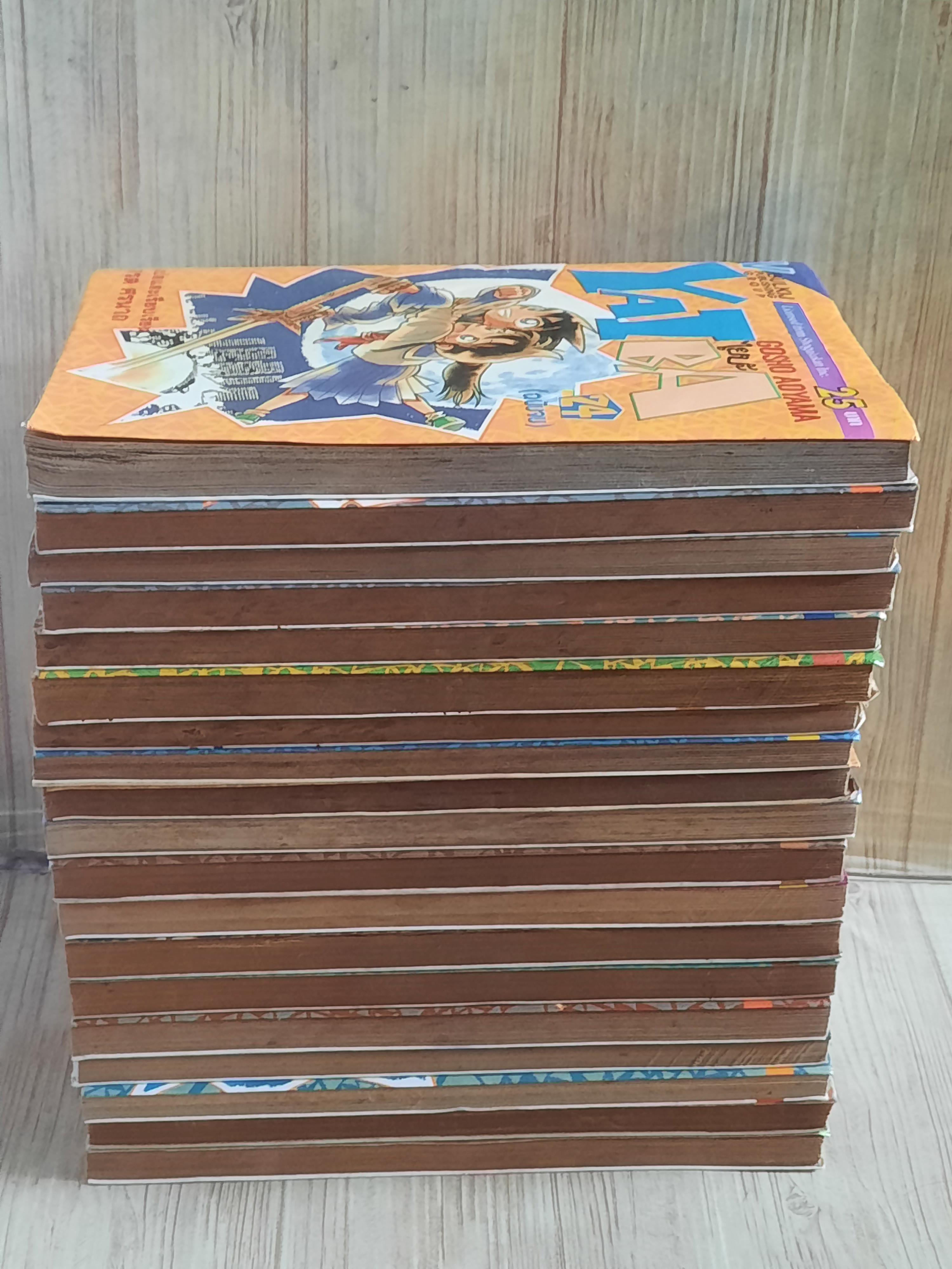 ไยบะ ชุด เล่ม 1-24 (ขาดเล่ม 4,11,17,18,19) 24 เล่มจบ สภาพสะสม