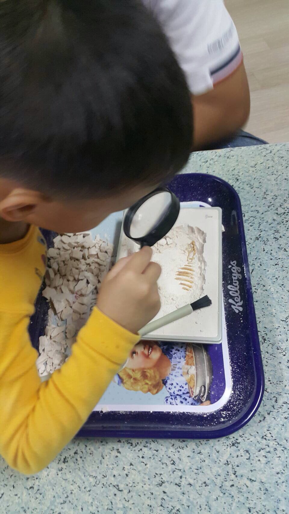 ชุดขุดฟอสซิลDig it Twice (แบบเล่นสองรอบ ขุดแล้วนำมาประกอบเป็นโมเดลได้)