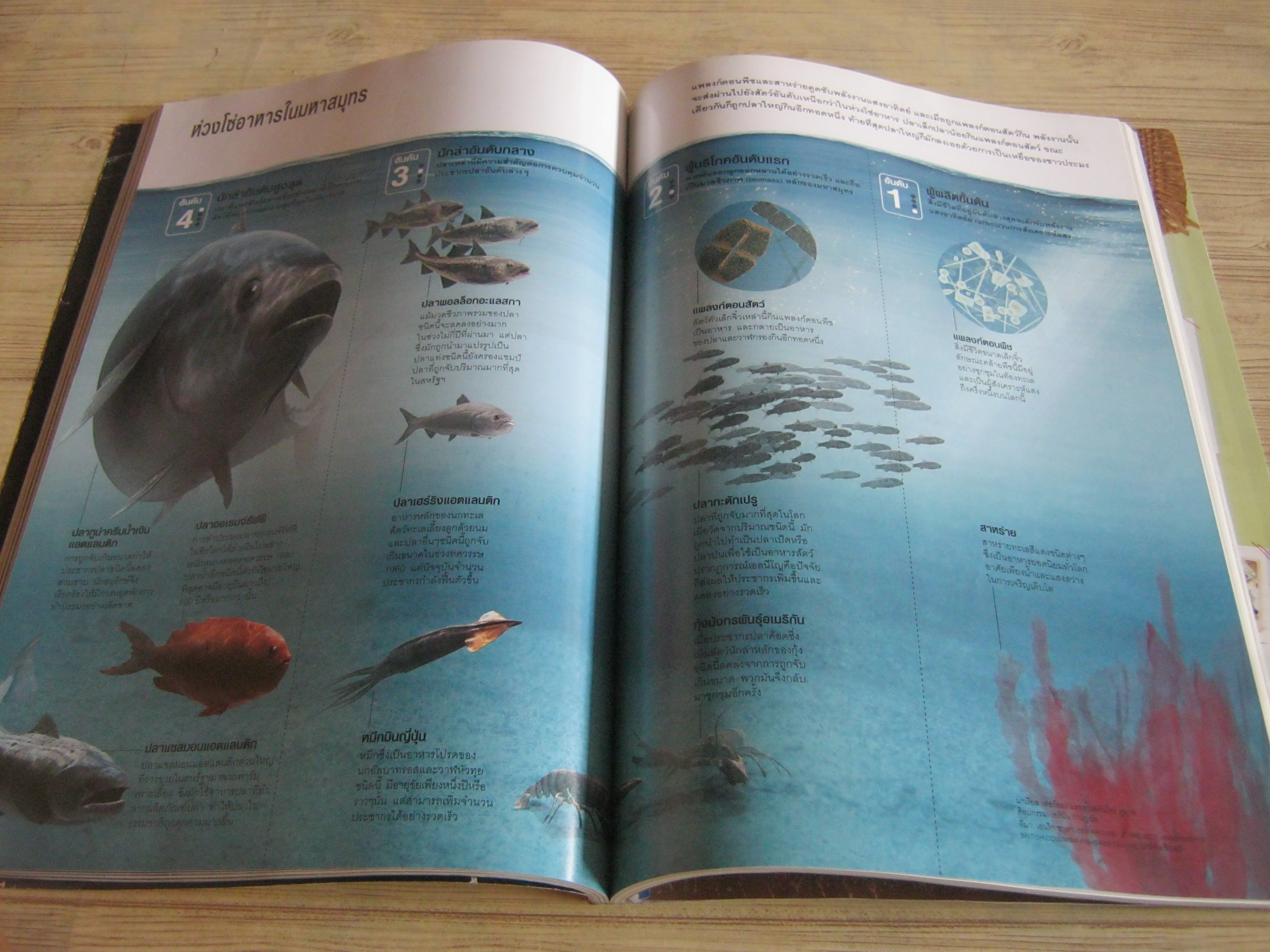 NATIONAL GEOGRAPHIC ฉบับภาษาไทย ตุลาคม 2553 รายงานพิเศษวิกฤติน้ำมันรั่ว