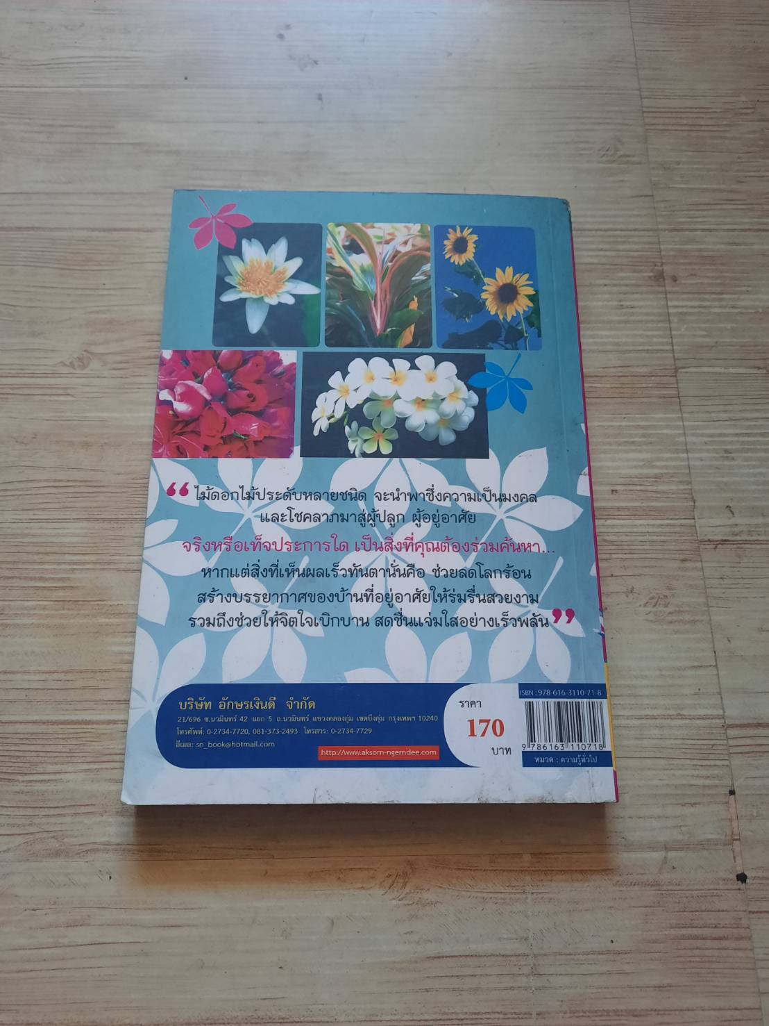 ไม้ดอก ไม้ประดับมงคลนำโชค โดย ปาลิตา เอื้ออังกูร***สินค้าหมด***