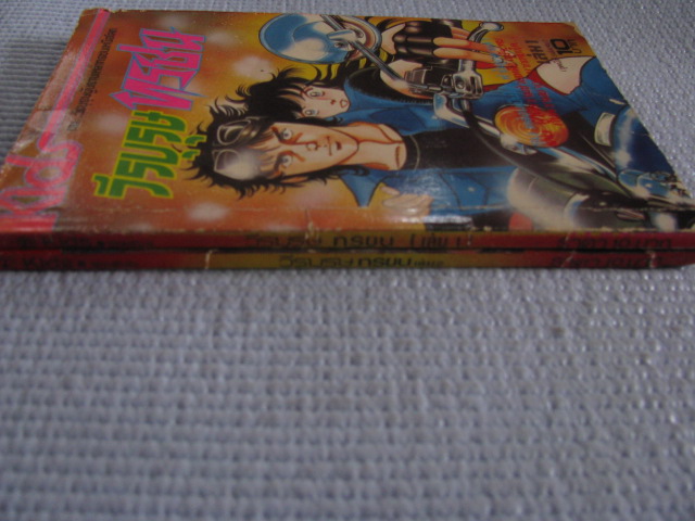 วีรบุรุษทรชน ภาค 1 เล่ม 1 และเล่ม 2 (ชุดนี้มี 3 เล่มจบ) มาซากิ ซึจิ - โอกาซากิ ซามิ เขียน