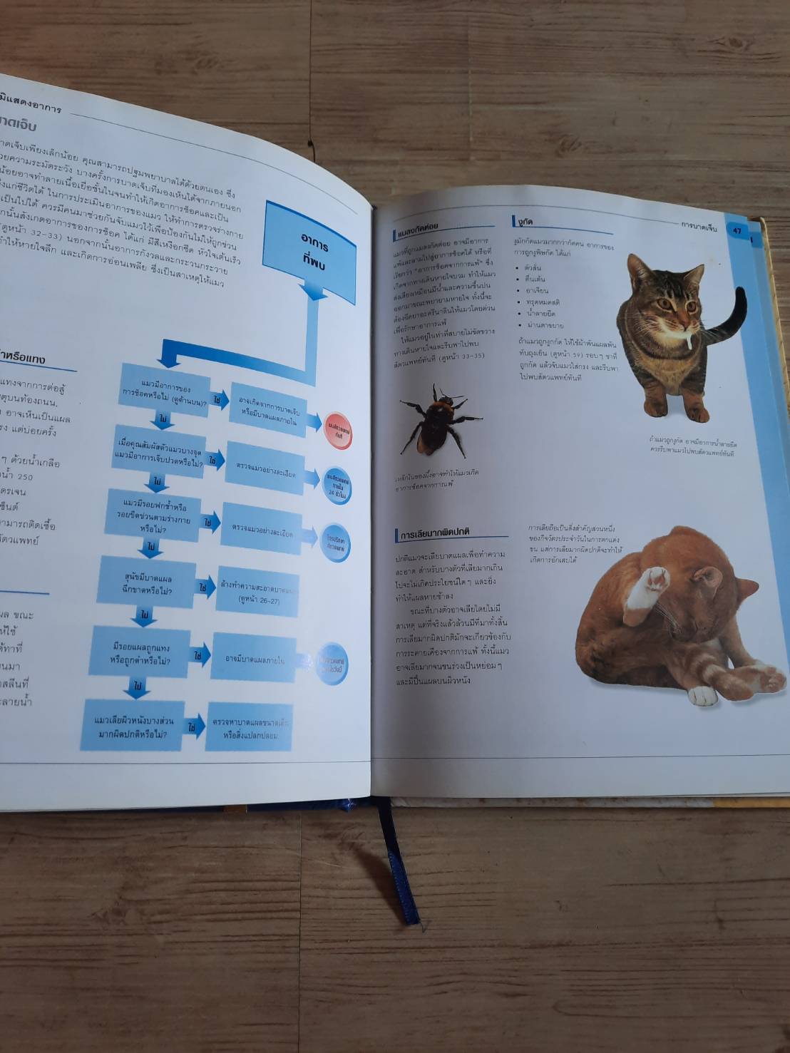 แมวของฉันเป็นอะไร ? (What's Up with my Cat ? น.สพ. บรูซ โฟเกิล เขียน สิทธิพร ชื่นชุ่มจิตร์ แปล***สินค้าหมด***