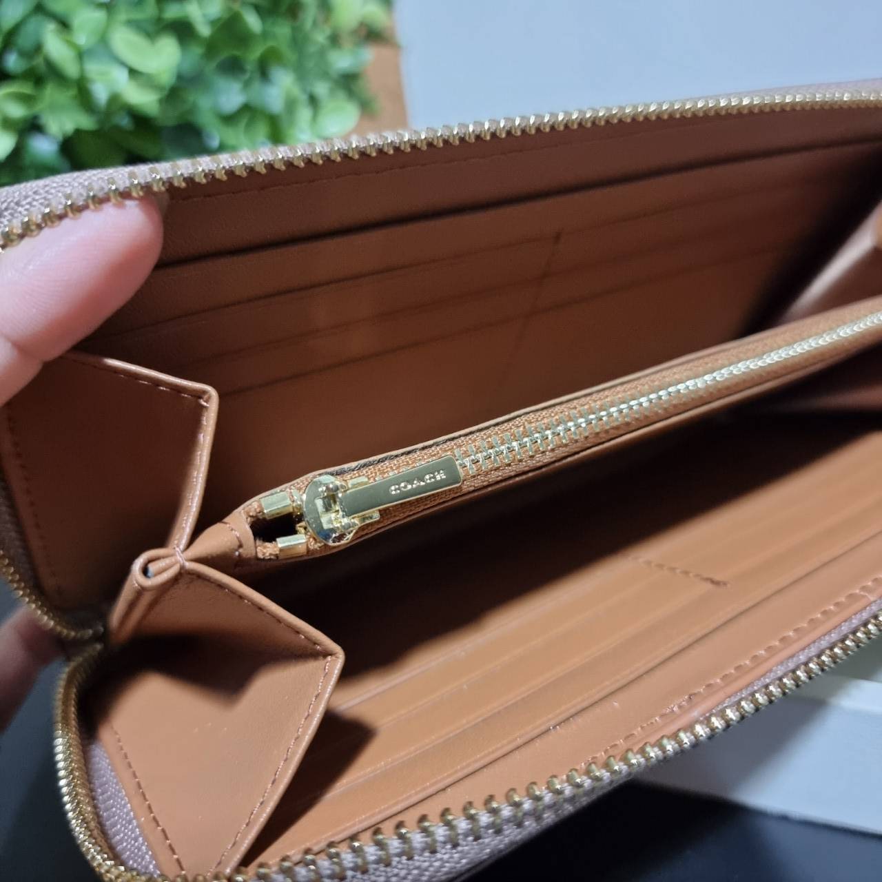 ของแท้ 💯% COACH 31546 ACCORDION ZIP WALLET IN COLORBLOCK SIGNATURE CANVAS กระเป๋าสตางค์ใบยาวรุ่นขายดี!! ขายหมดทุกสี!! 🔥🔥 สาวๆต้องยกให้เป็นไอเท็มที่ขาดไม่ได้เลยน้า วัสดุหนังแคนวาสเคลือบ ภายในเป็นหนังแท้ เปิด-ปิดด้วยซิปรอบ ใส่บัตรได้