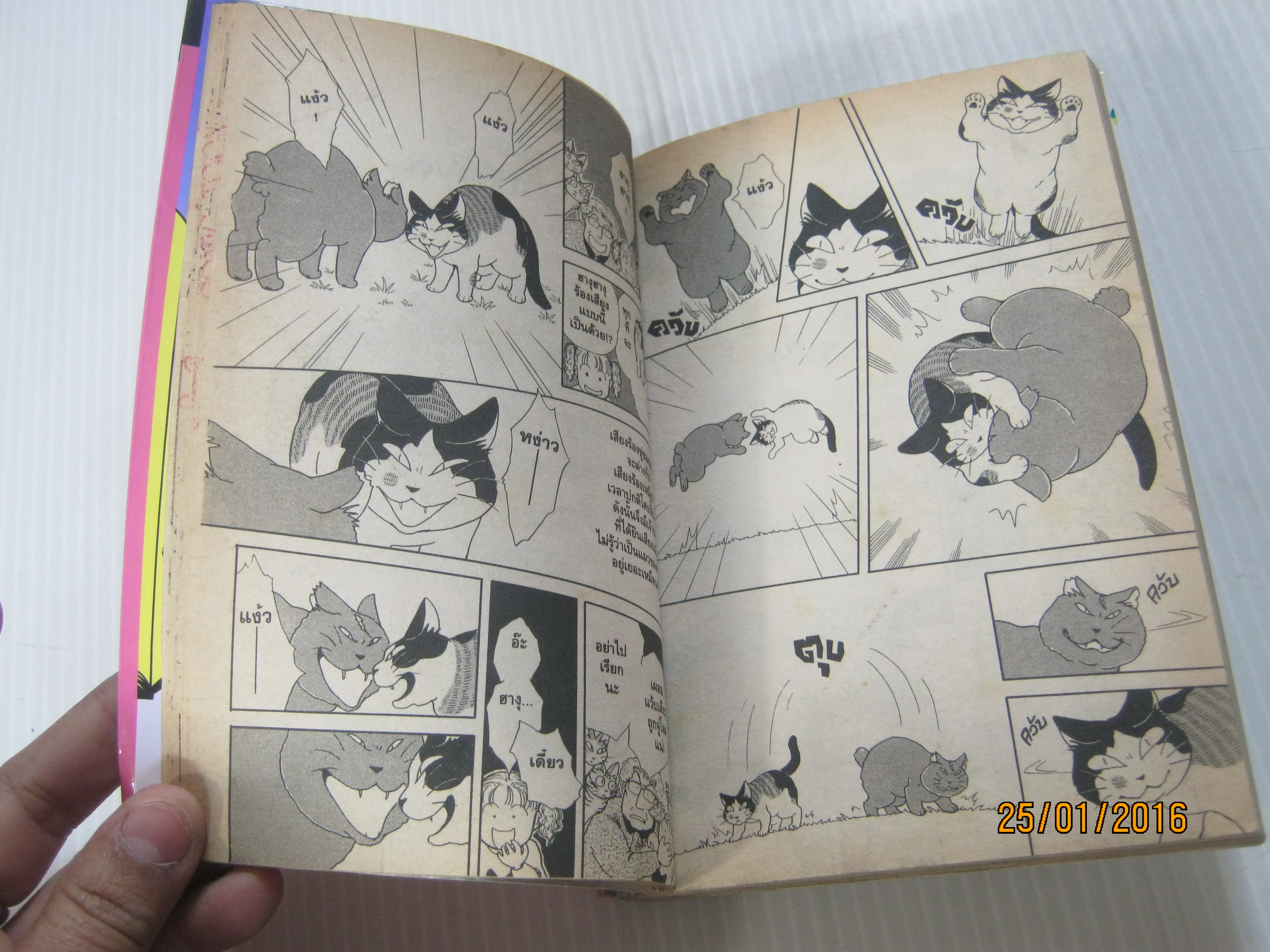 แง้วแง้ว แมวอย่างเดียวไม่เกี่ยวกับคน ! ชุด เล่ม 1,2,4,5,7 Hogara Numata & Kanata Konami เขียน