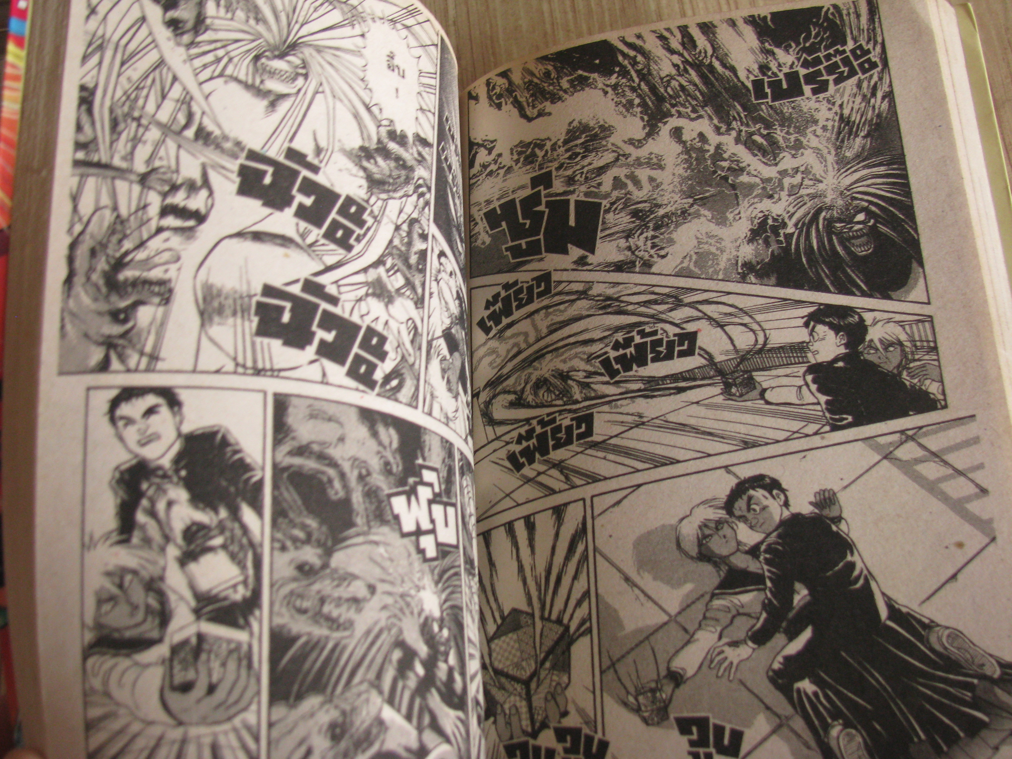 ล่าอสูรกาย ชุด เล่ม 1-33 + ภาคพิเศษ เล่มเดียวจบ (ขาดเล่ม 6) 33 เล่มจบ (หนังสือบ้าน)