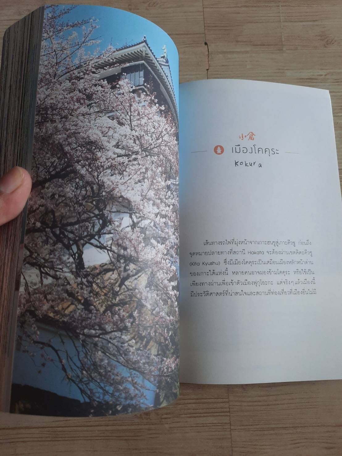 เที่ยวญี่ปุ่นไม่ซ้ำใคร เที่ยวญี่ปุ่นดอทคอม เรื่องและภาพ