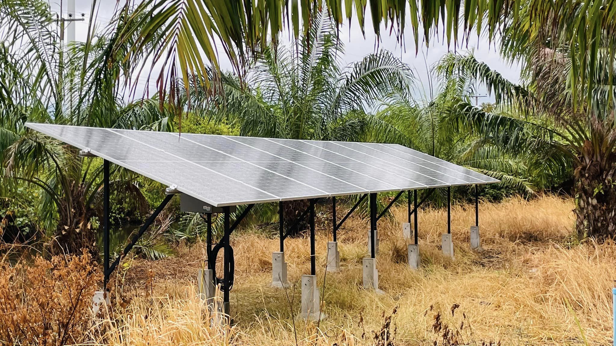 ชุดซัมเมิสปั้มบาดาล ขนาด 3 แรงม้า สวนปาล์มน้ำมัน