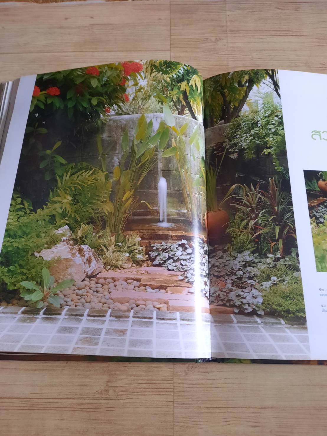 สวนในบ้าน เล่ม 12 สวนขนาดเล็ก พิมพ์ครั้งที่ 7 โดย กองบรรณาธิการสำนักพิมพ์บ้านและสวน