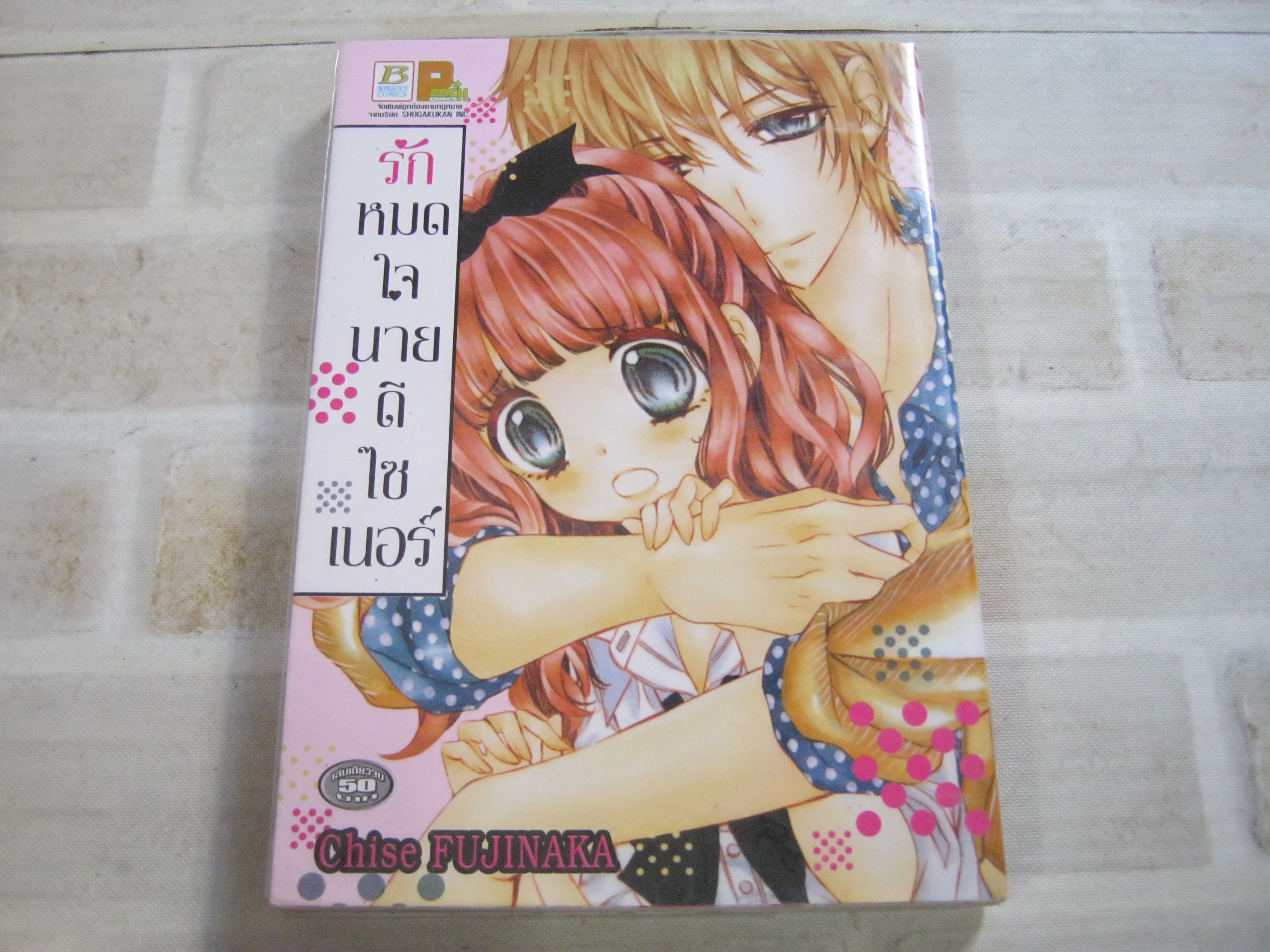 รักหมดใจนายดีไซเนอร์ เล่มเดียวจบ Chise Fujinaka เขียน***สินค้าหมด***