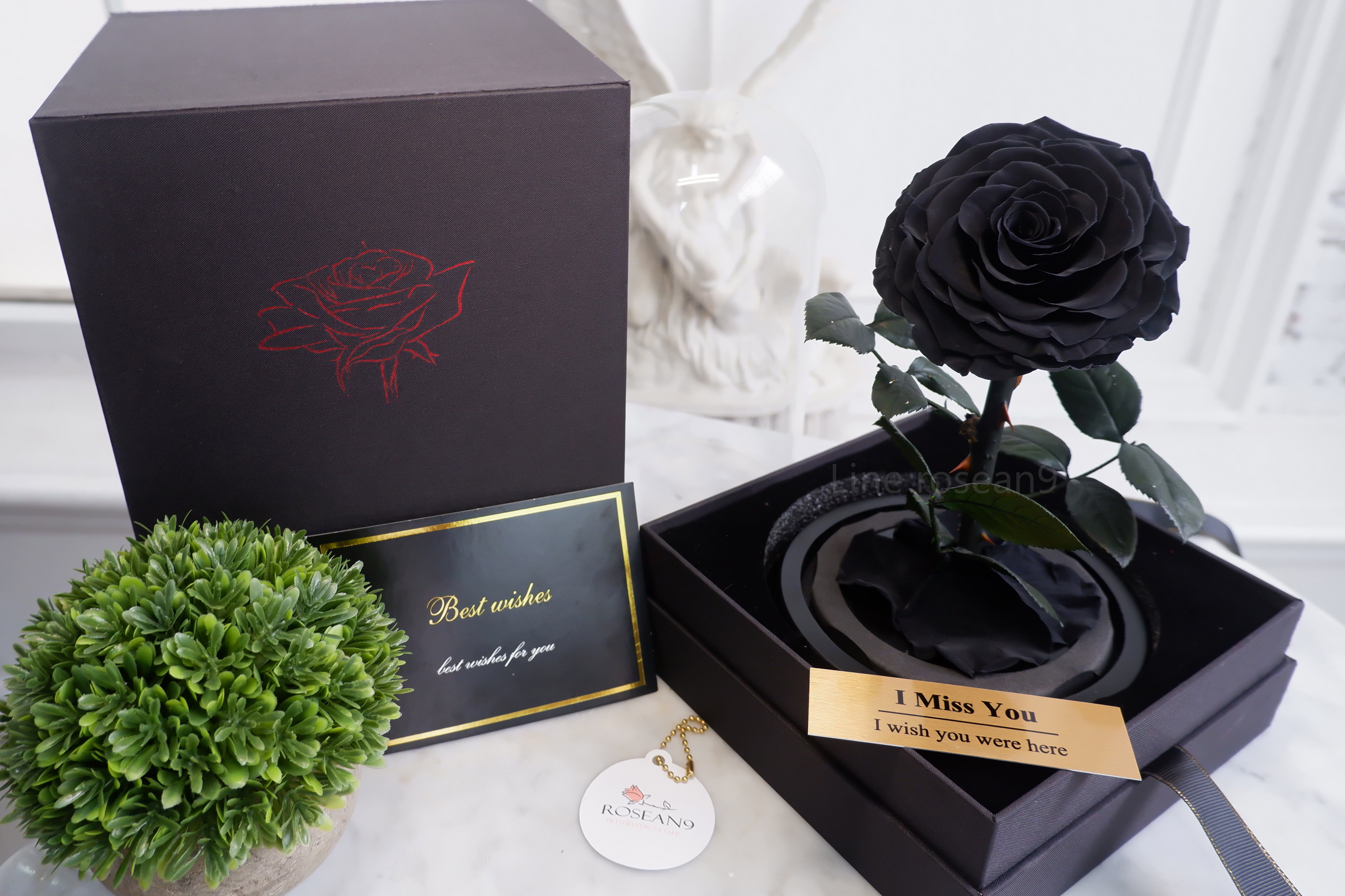 กุหลาบอมตะ กุหลาบในโหลแก้ว กุหลาบดำ กุหลาบโฉมงามกับเจ้าชายอสูร กุหลาบbeauty and the beast