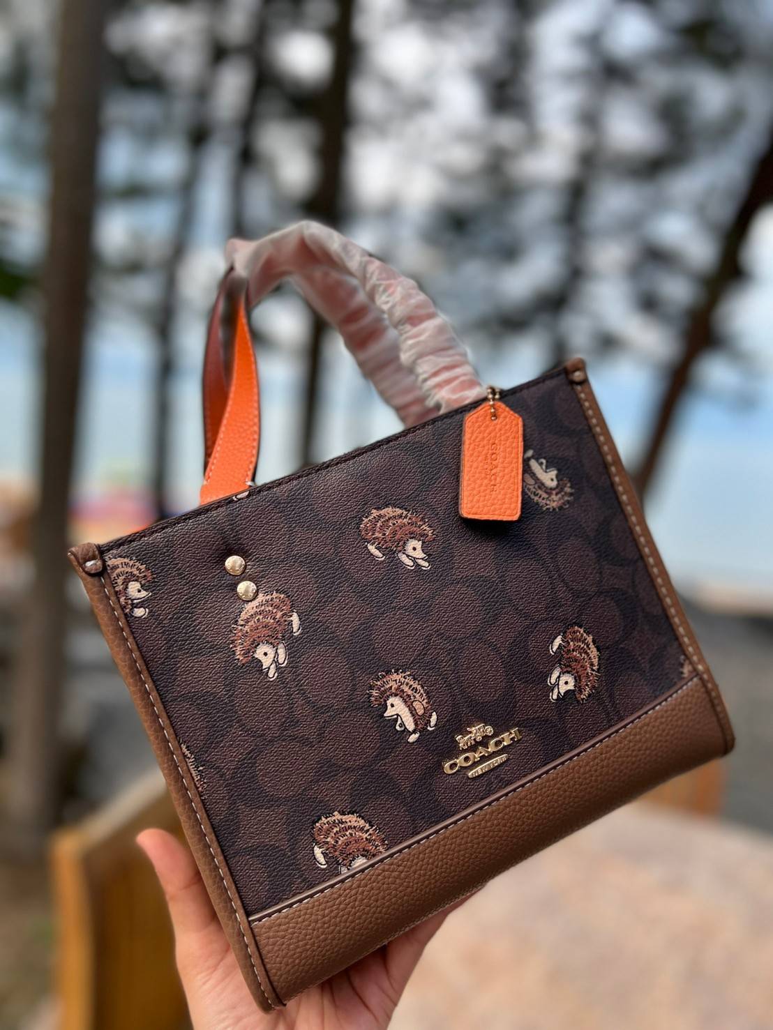COACH DEMPSEY TOTE IN SIGNATURE CANVAS WITH HEDGEHOG PRINT 🦔 ((CC769)) เม่นเต้นรำ สวย น่ารัก มากๆค่ะ ใหม่กันต่อ ไปสวยกันให้สุดค่ะ! กับกระเป๋าทรงTOTE รุ่นใหม่ล่าสุด 🌟จุดเด่นของรุ่นนี้คือปริ้นท์ลายเม่นเต้นรำทั้งใบ น่ารักน่าเอ็นดูมากๆค่ะ เปิด
