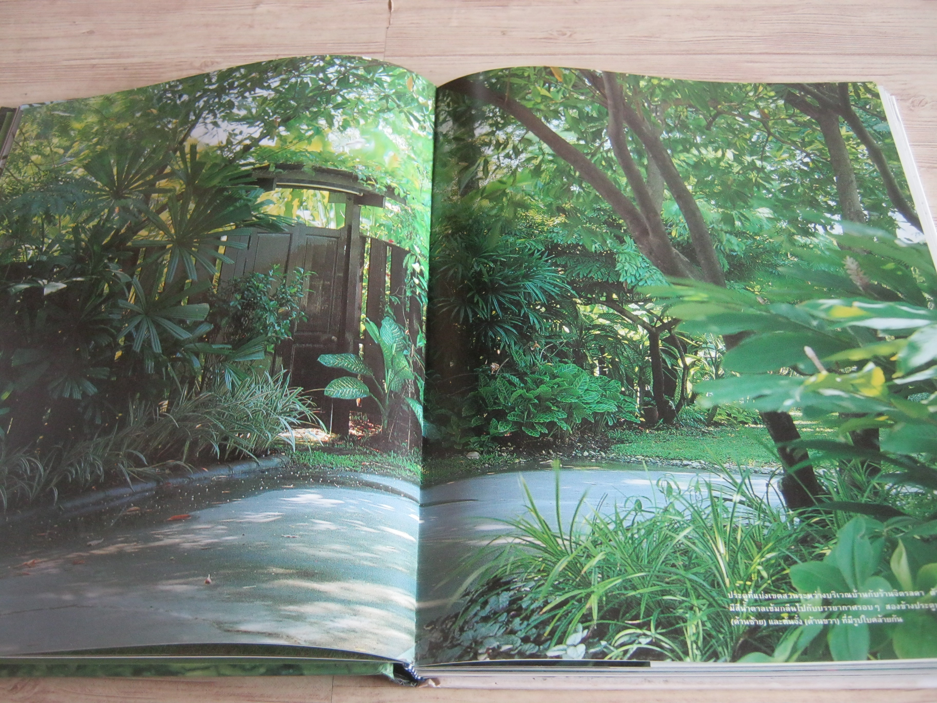 สวนในบ้าน เล่ม 8 ไอเดียในสวน โดย กองบรรณาธิการนิตยสารบ้านและสวน