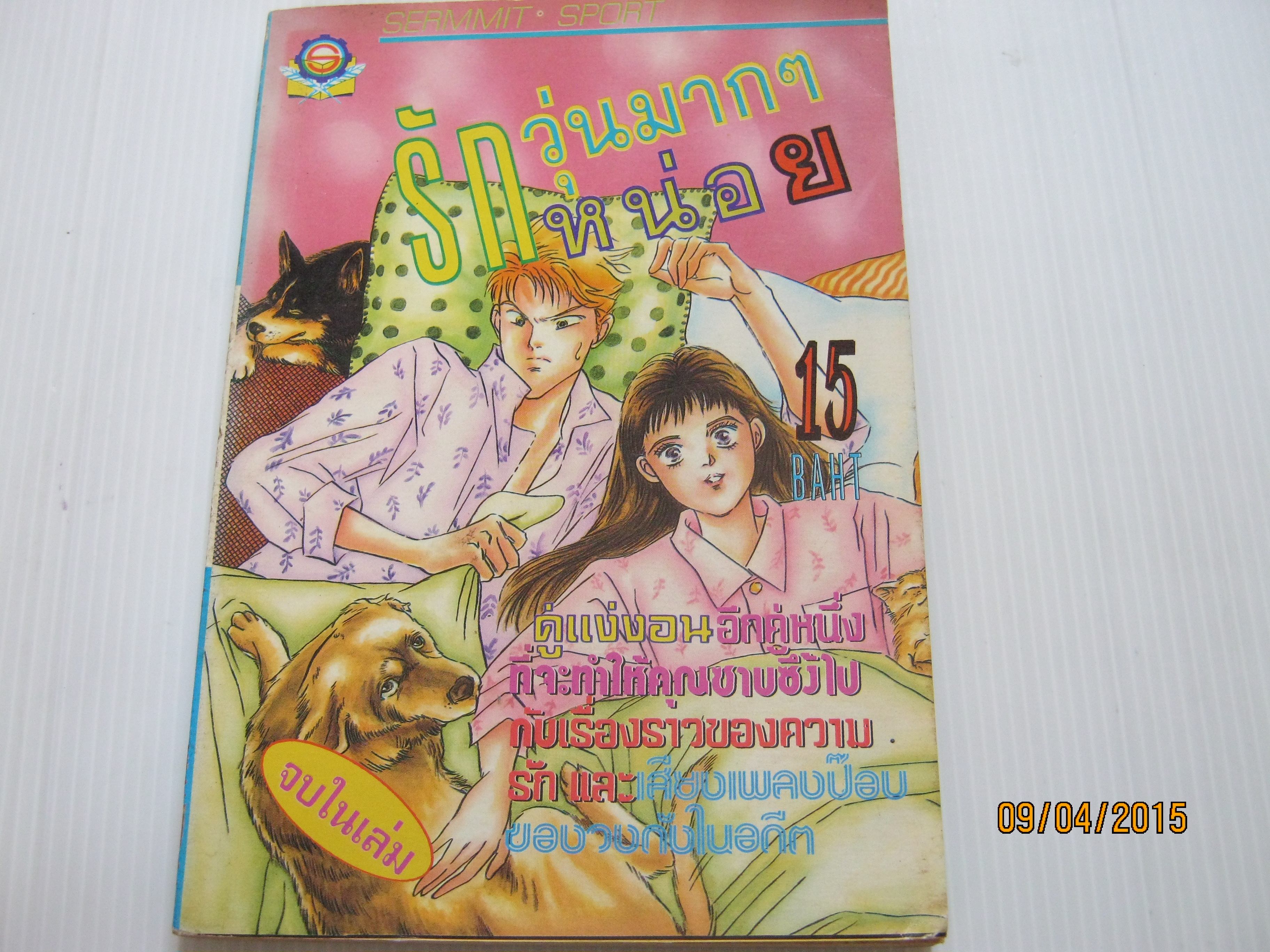 รักวุ่นๆมากๆหน่อย จบในเล่ม