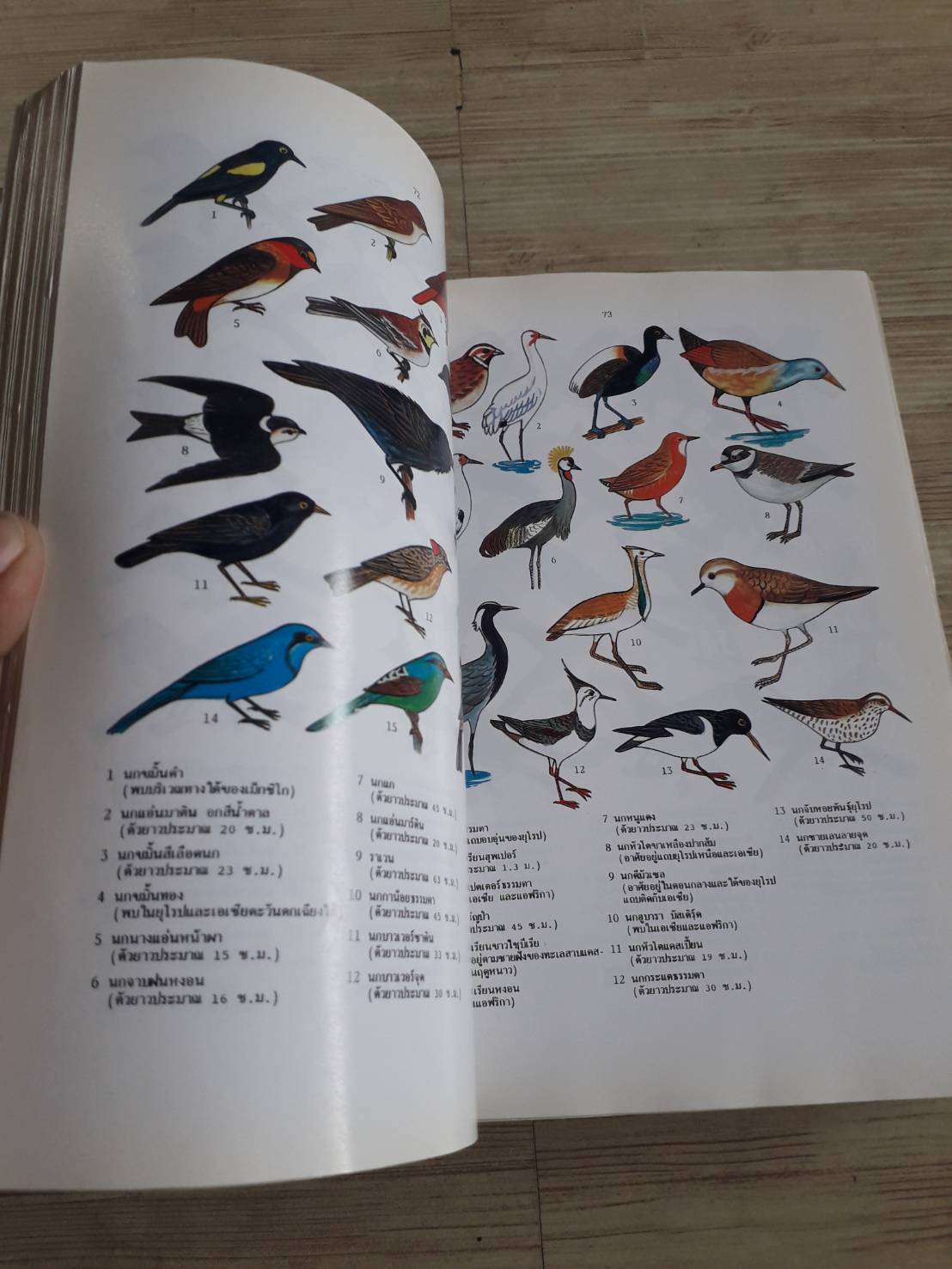 พจนานุกรมสัตว์และพืชในเมืองไทย ดร.วิทย์ เที่ยงบูรณธรรม เขียน (ปกแข็ง)***สินค้าหมด***