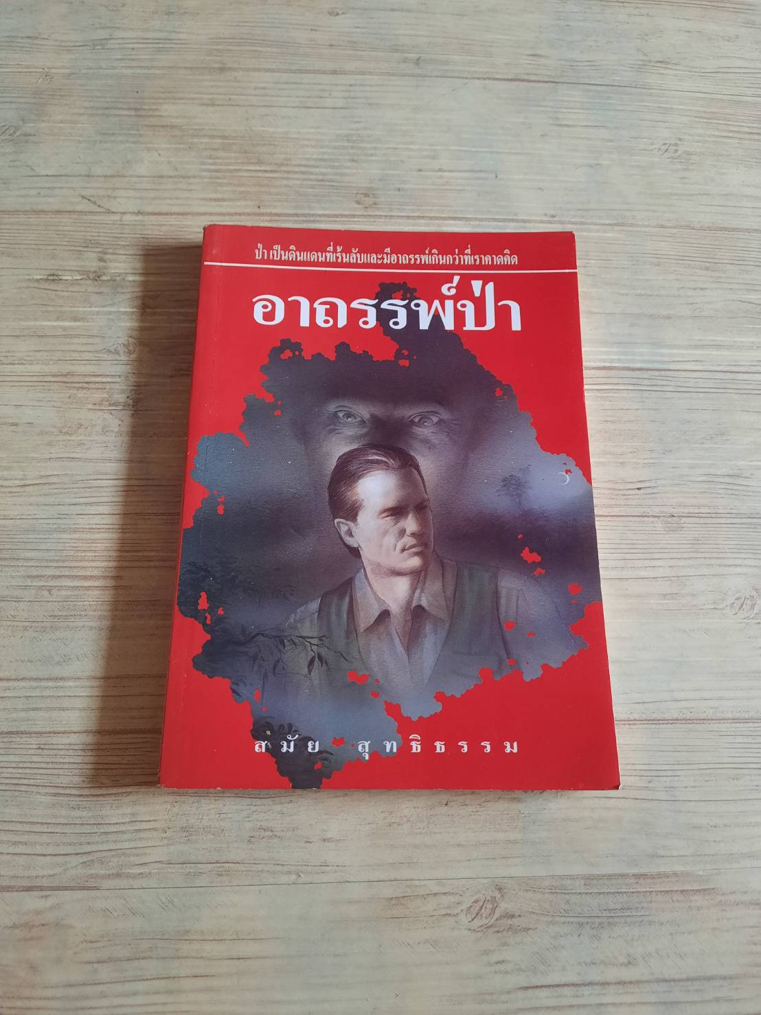 อาถรรพ์ป่า สมัย สุทธิธรรม เขียน***สินค้าหมด***