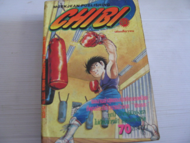 CHIBI ชิบิ เล่มเดียวจบ โยอิจิ นาคาฮาชิ เขียน***สินค้าหมด***